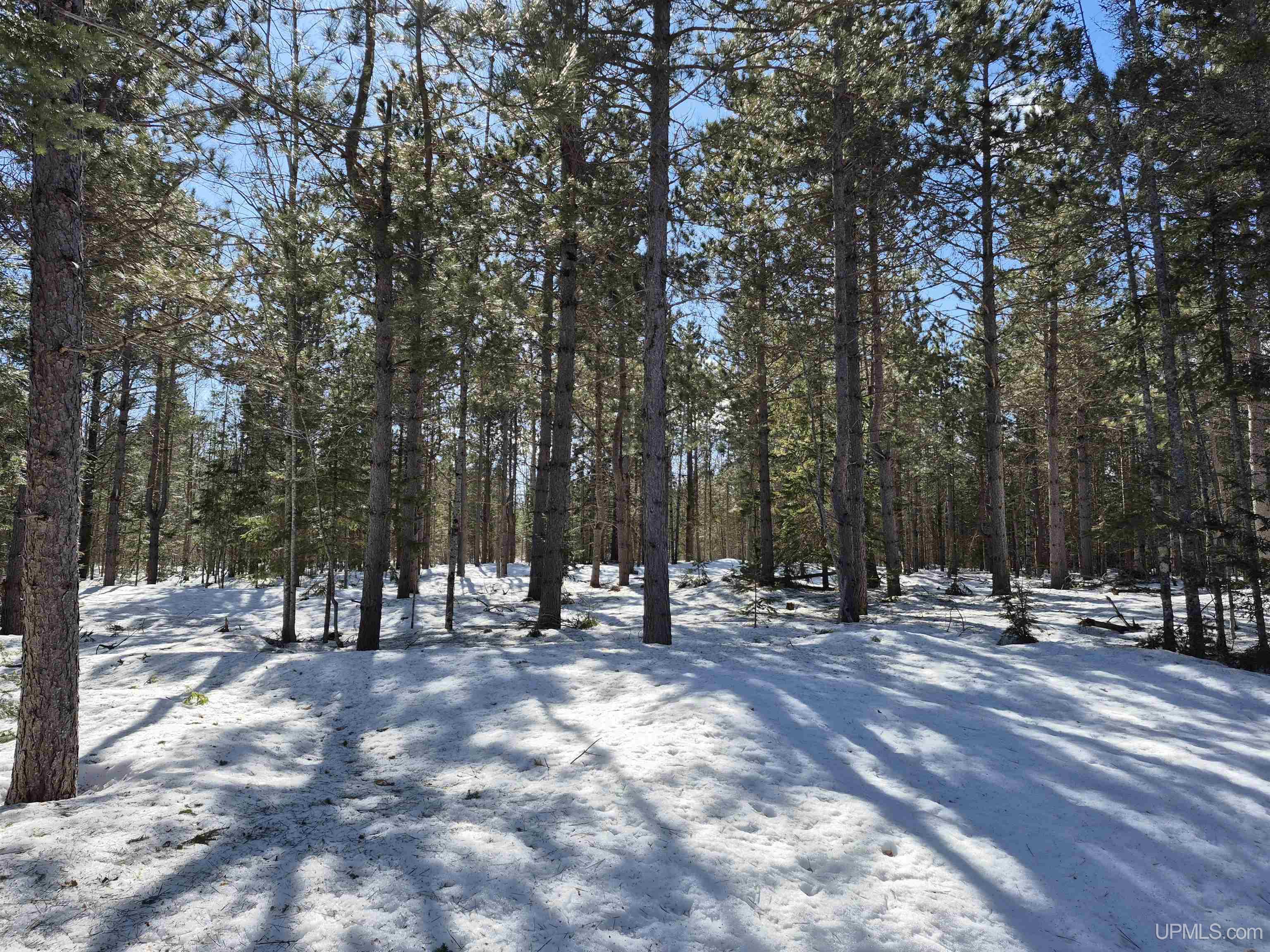 main property photo 8