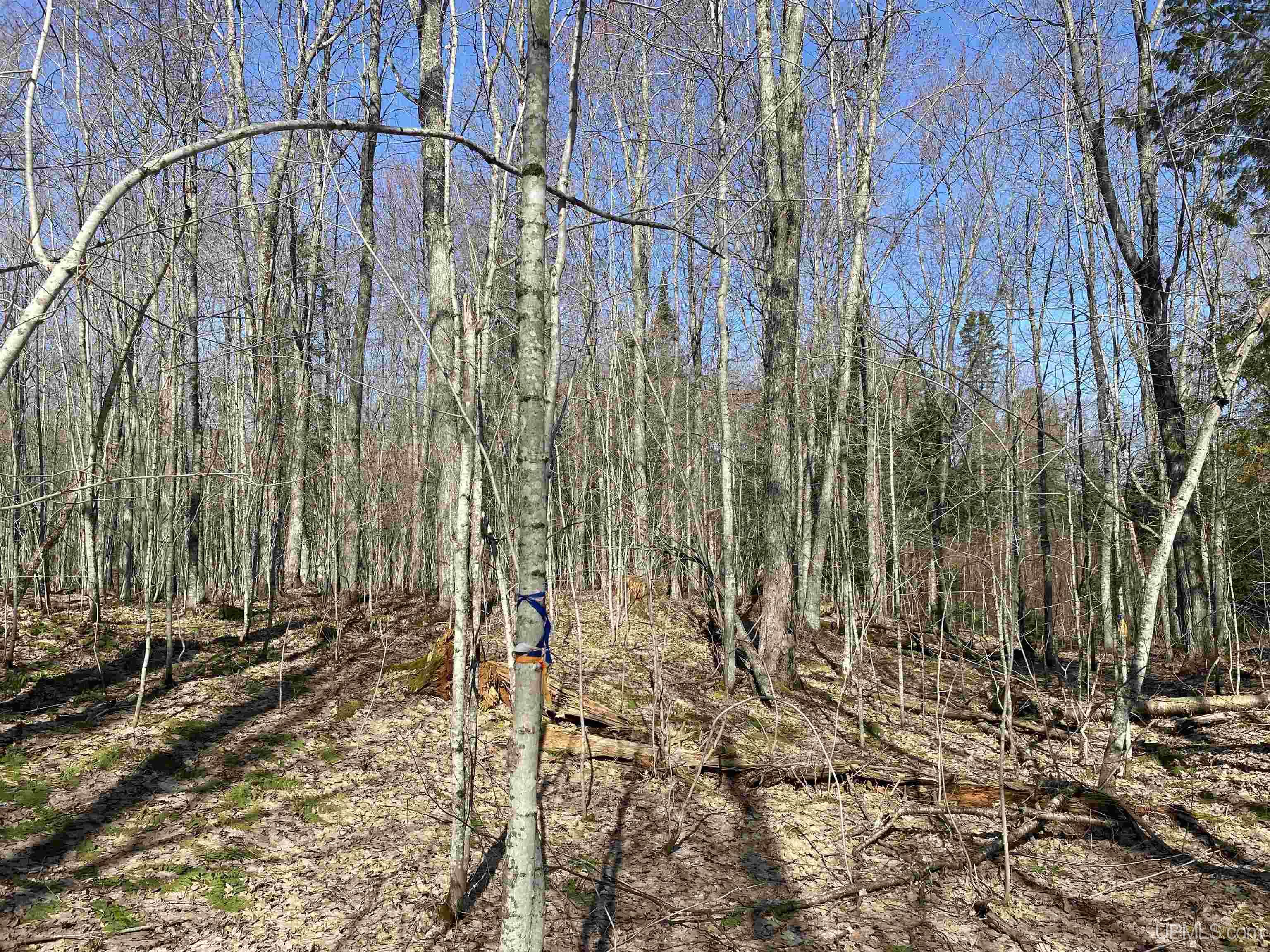 main property photo 31
