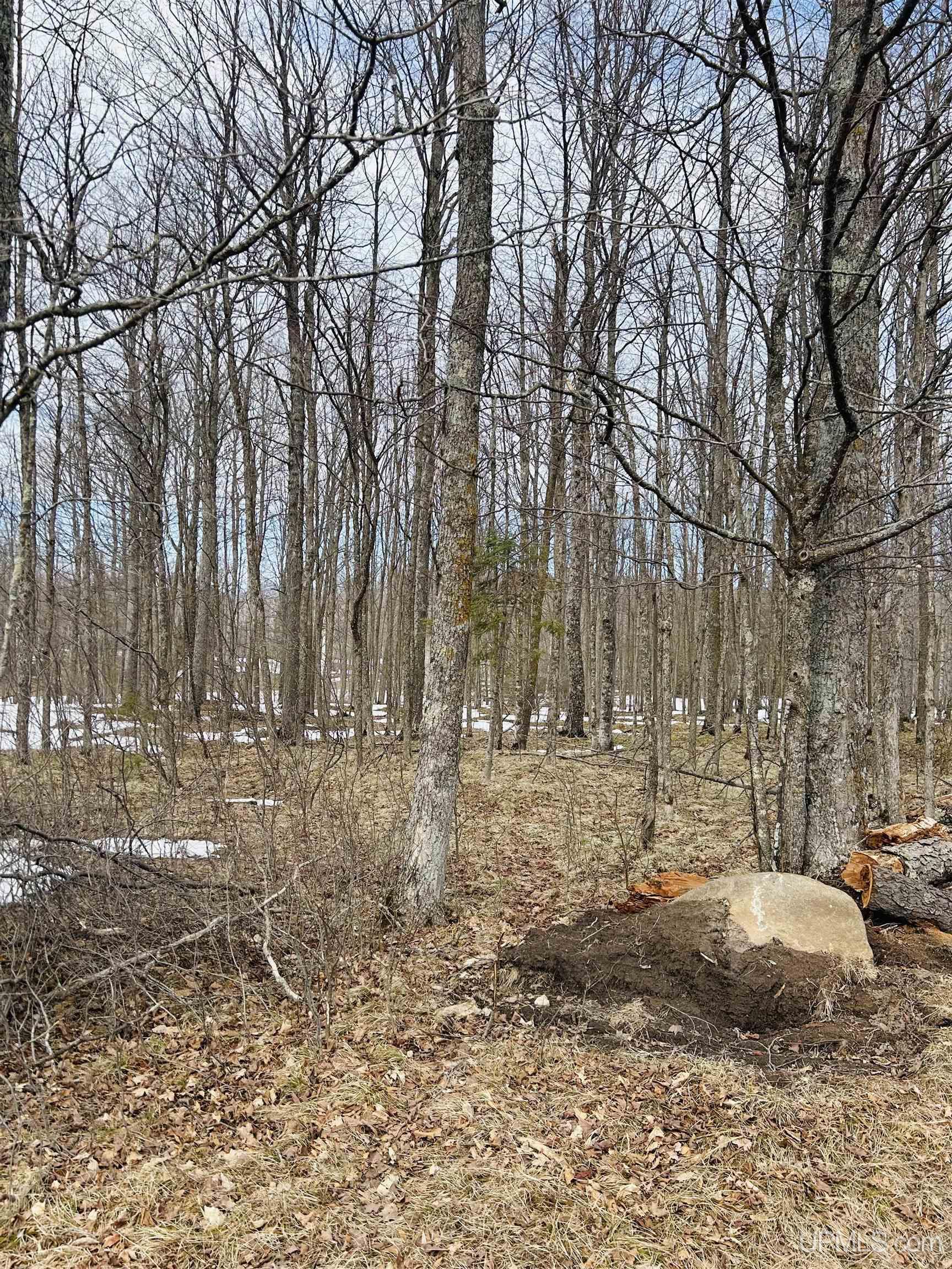 main property photo 0