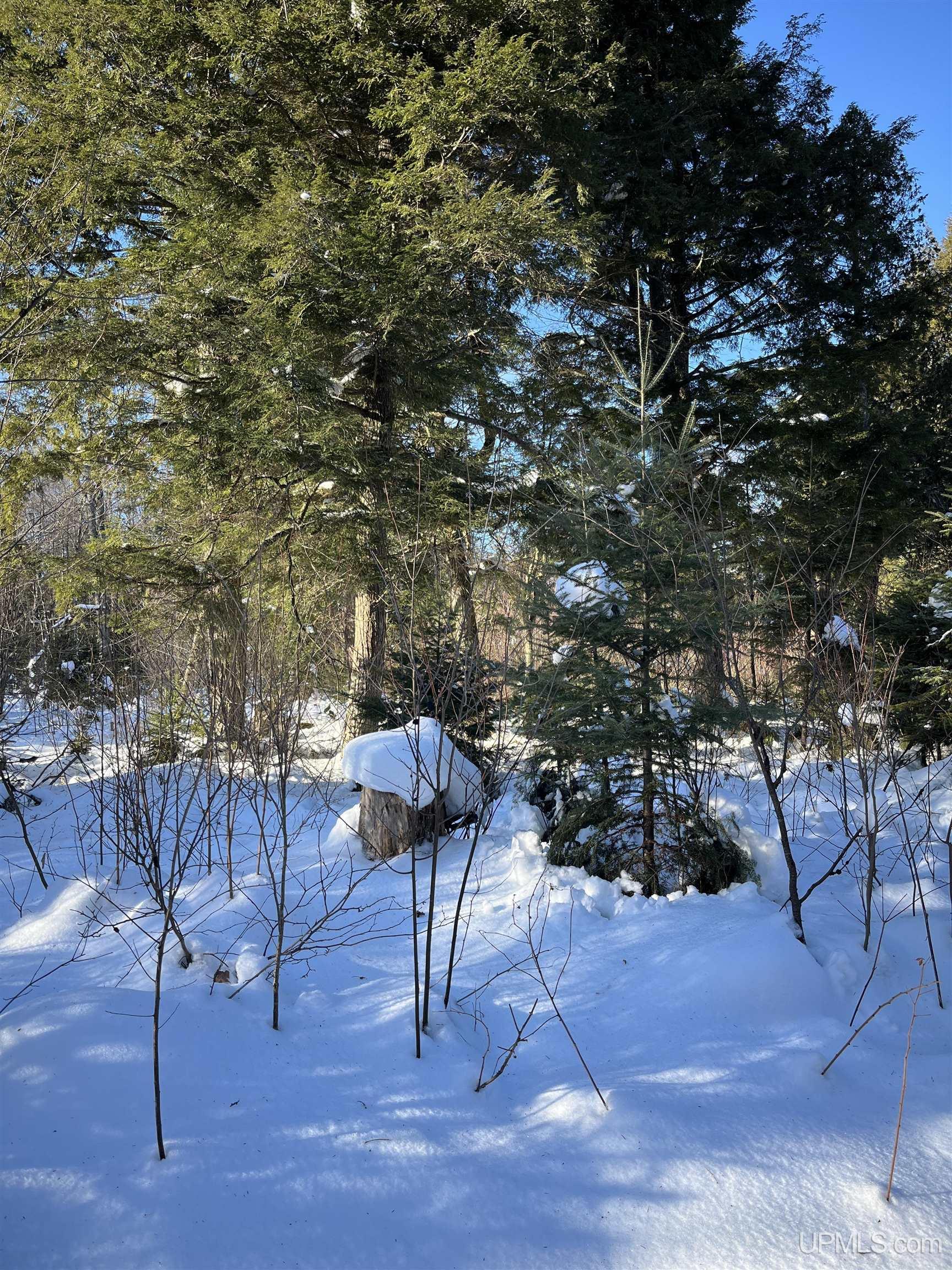 main property photo 18