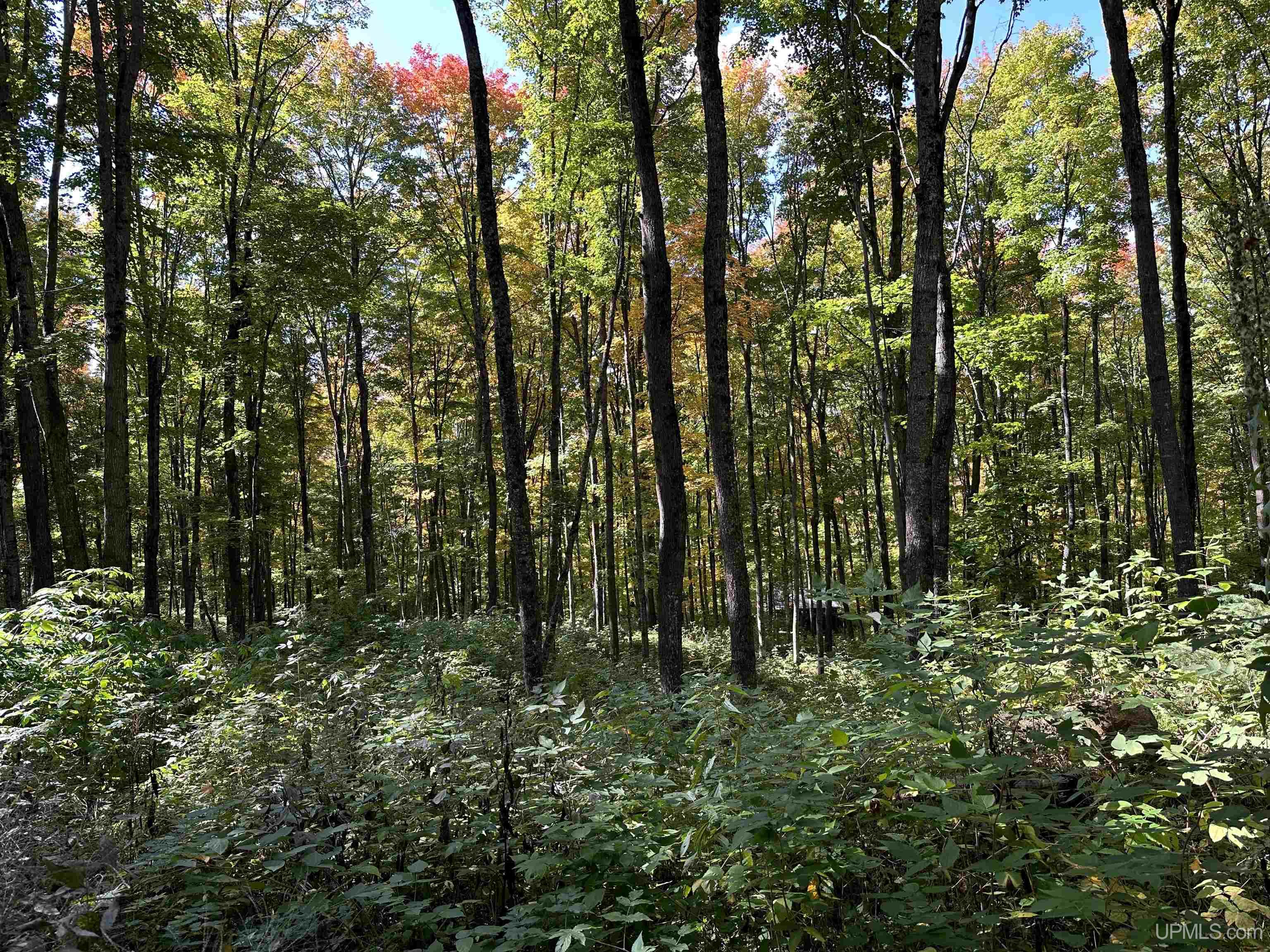 main property photo 14