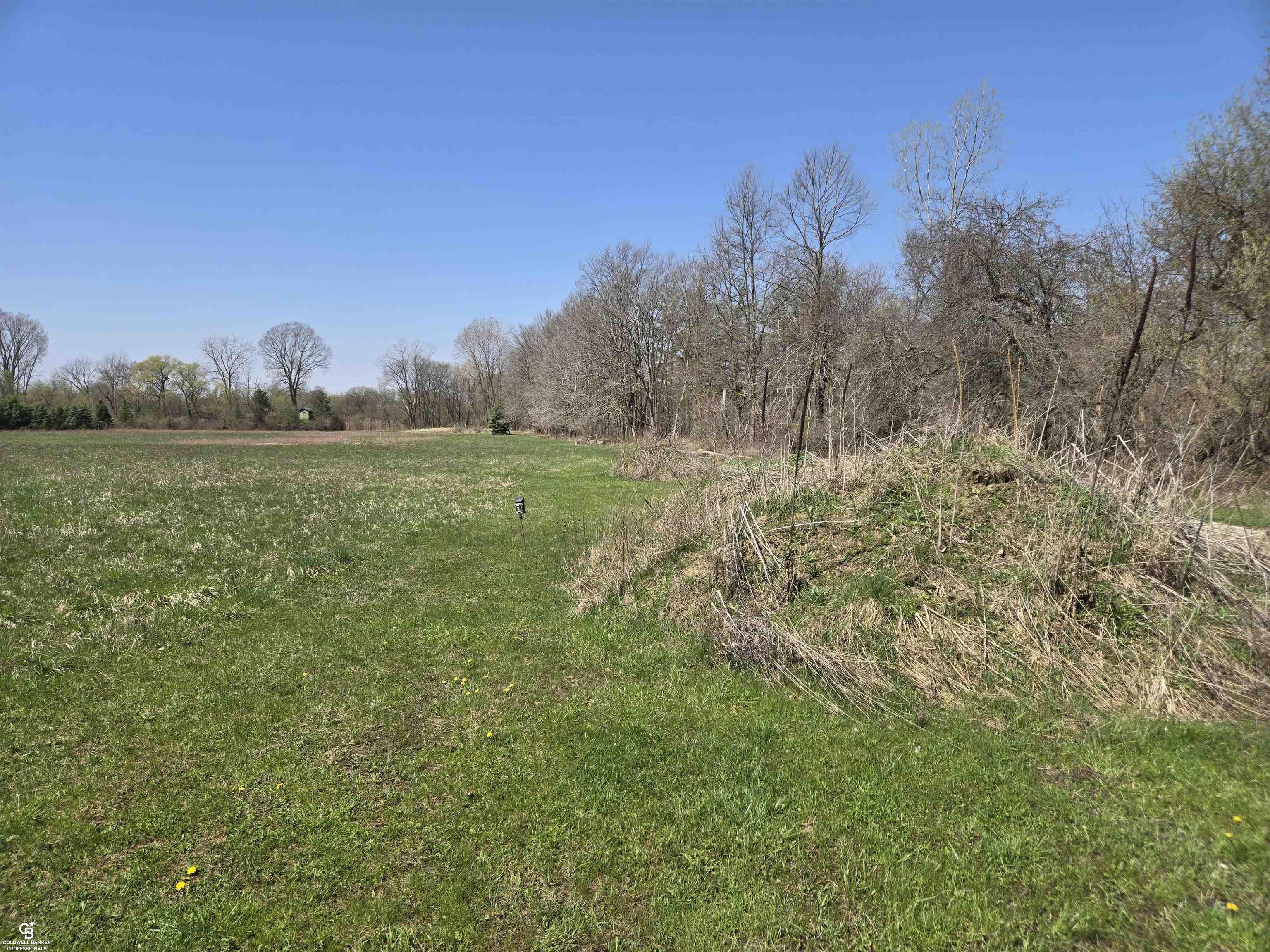 main property photo 10