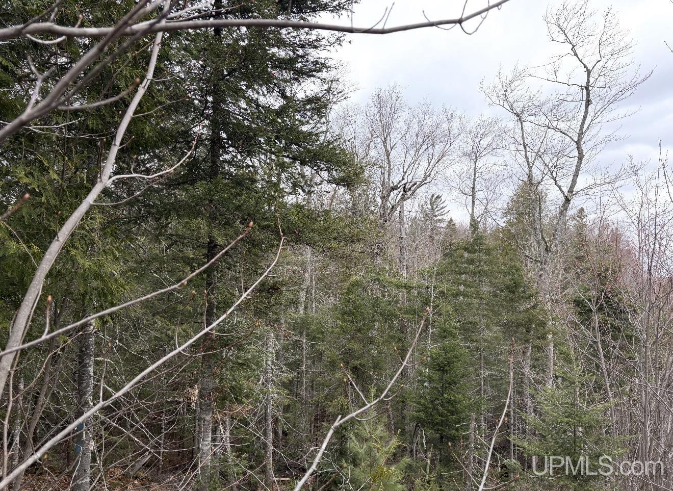main property photo 0