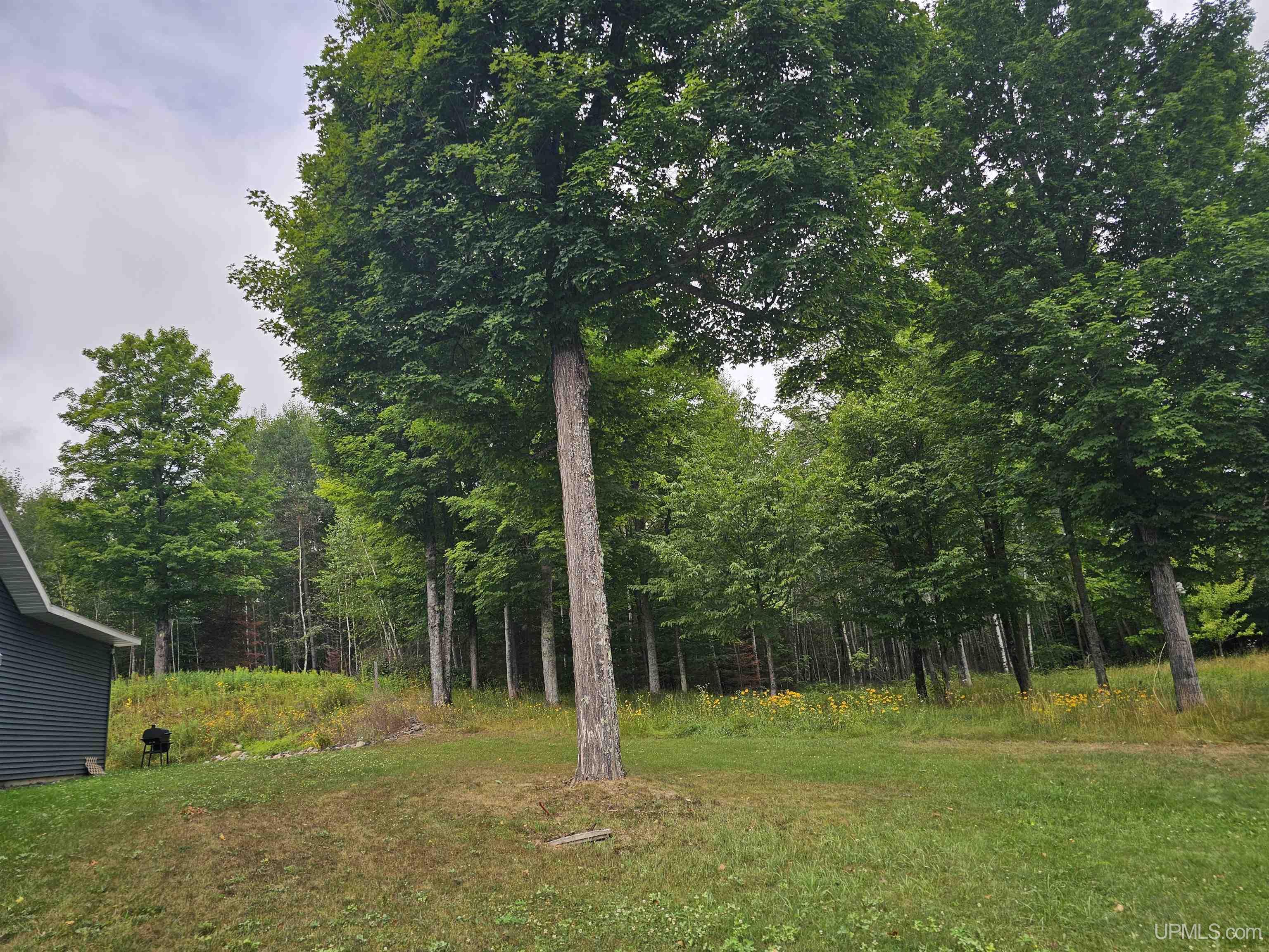 main property photo 75