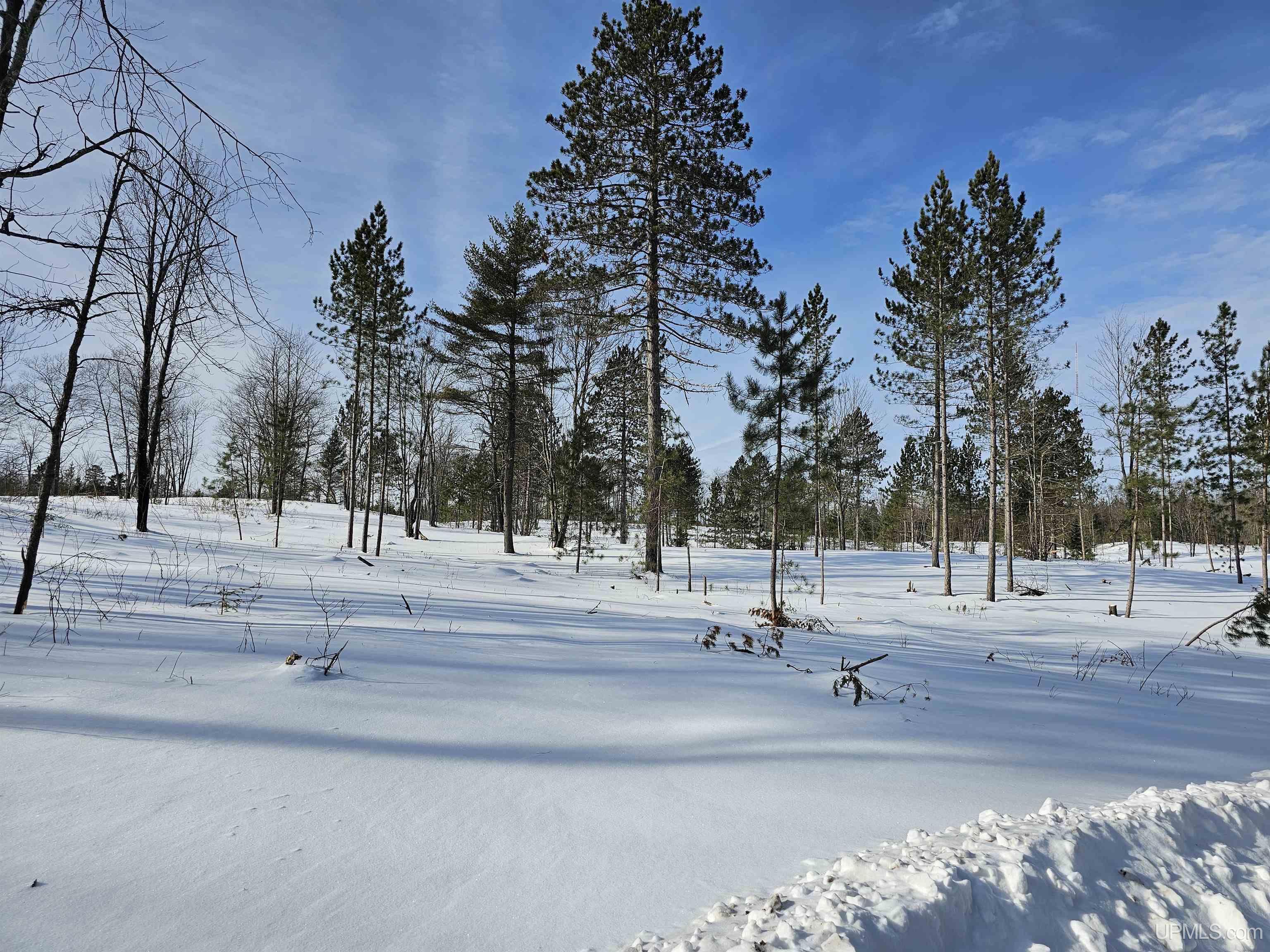 main property photo 7