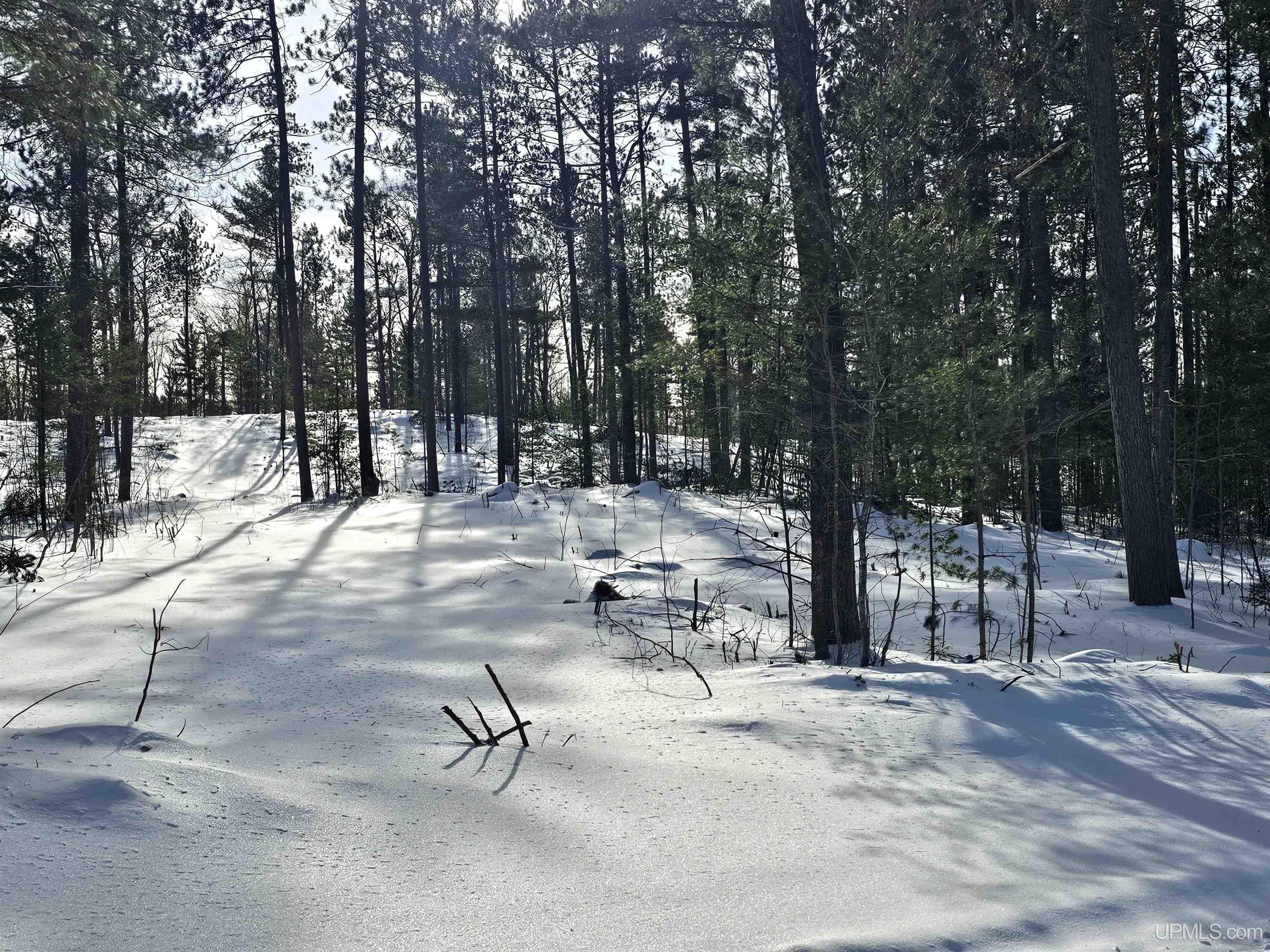 main property photo 3