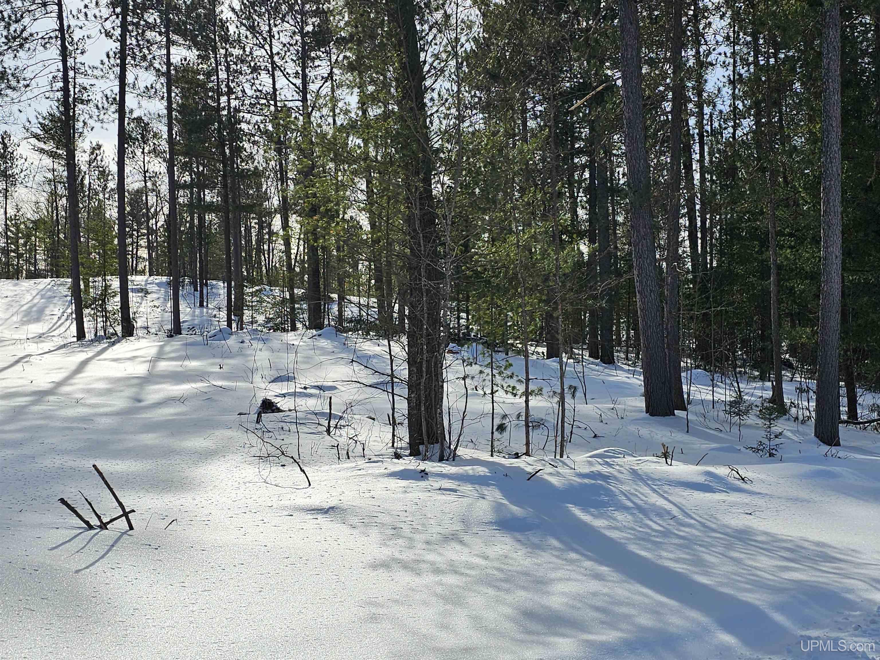 main property photo 4