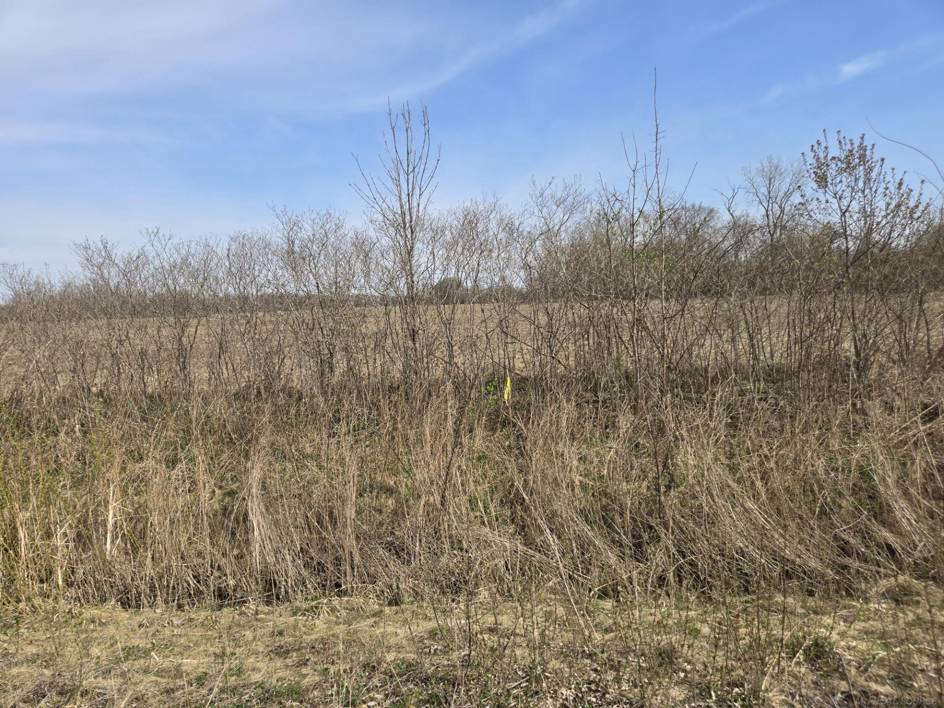 main property photo 9