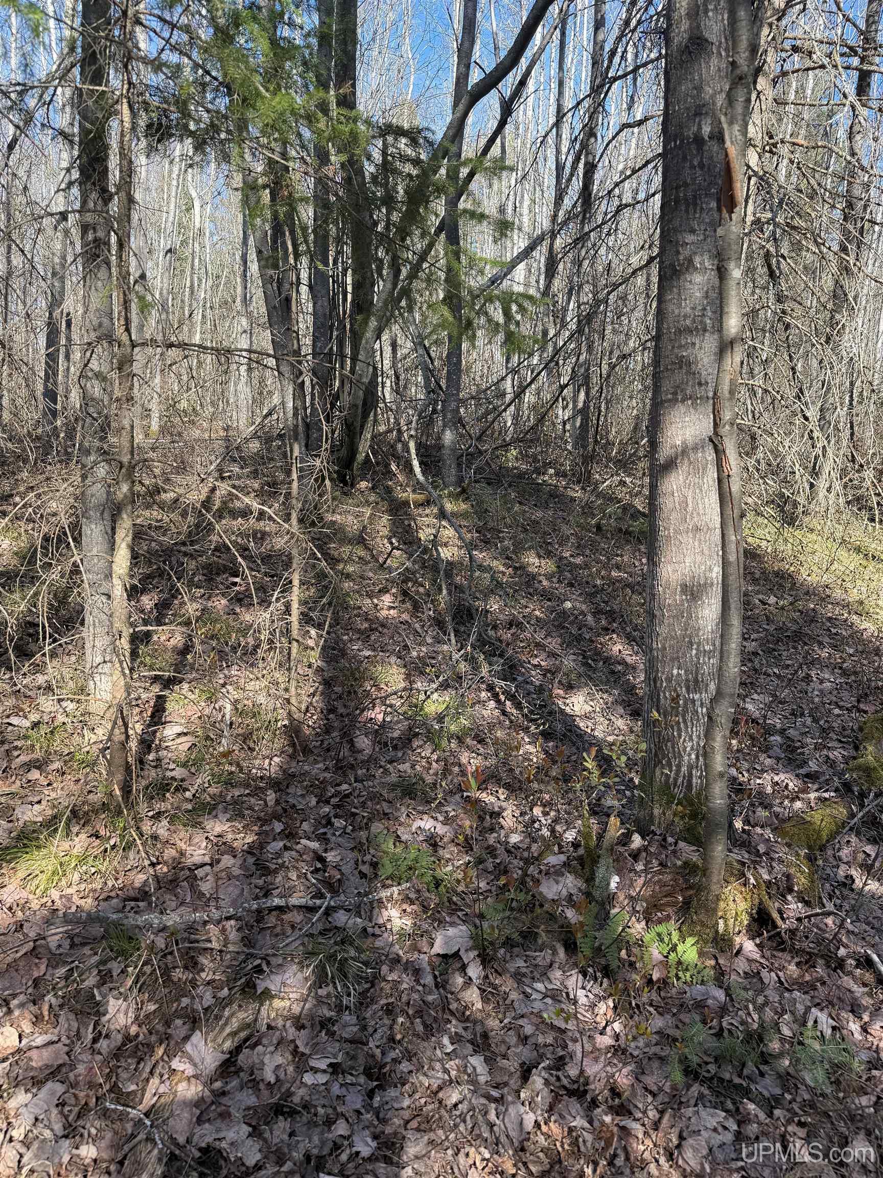 main property photo 13