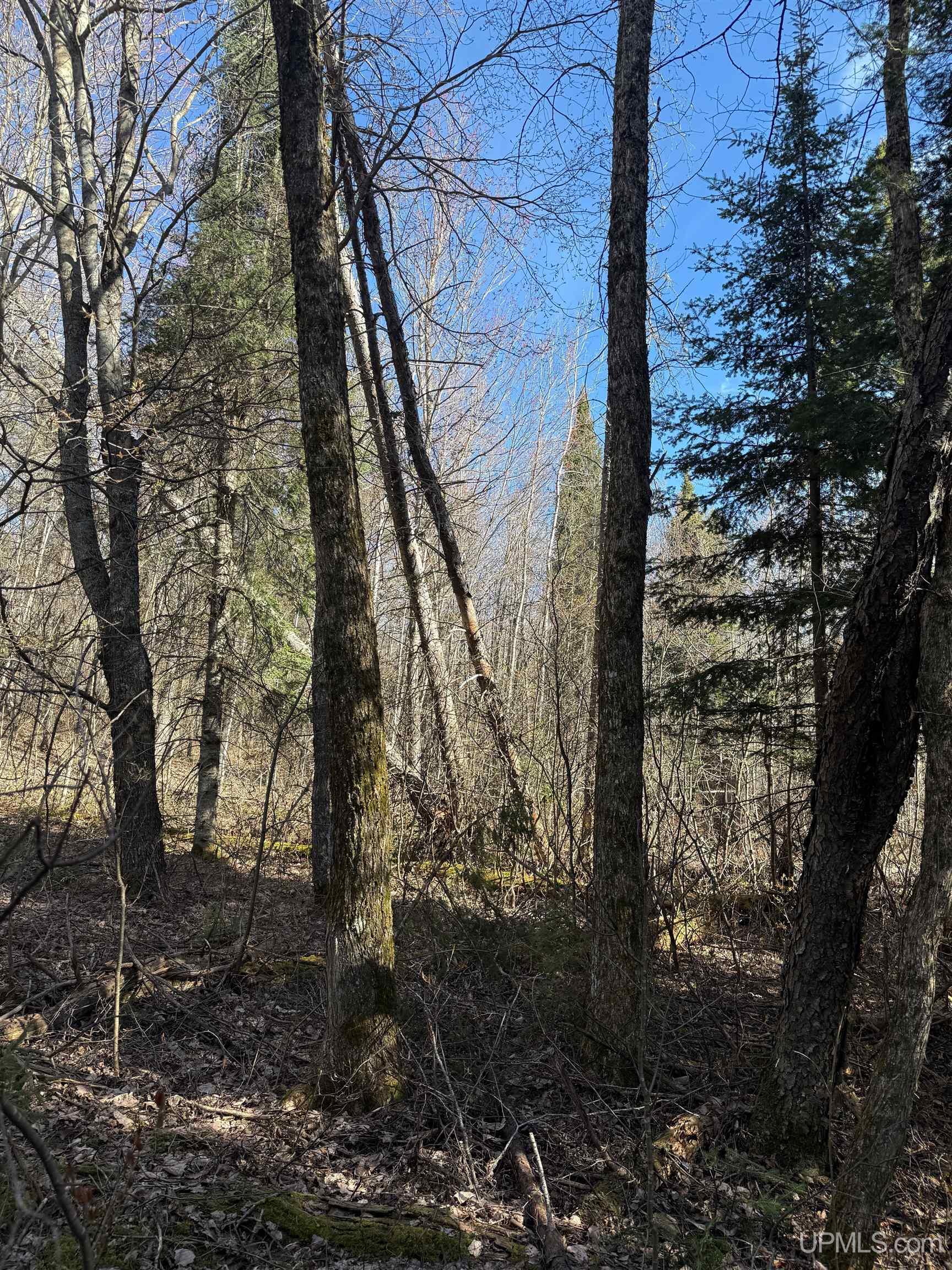 main property photo 16
