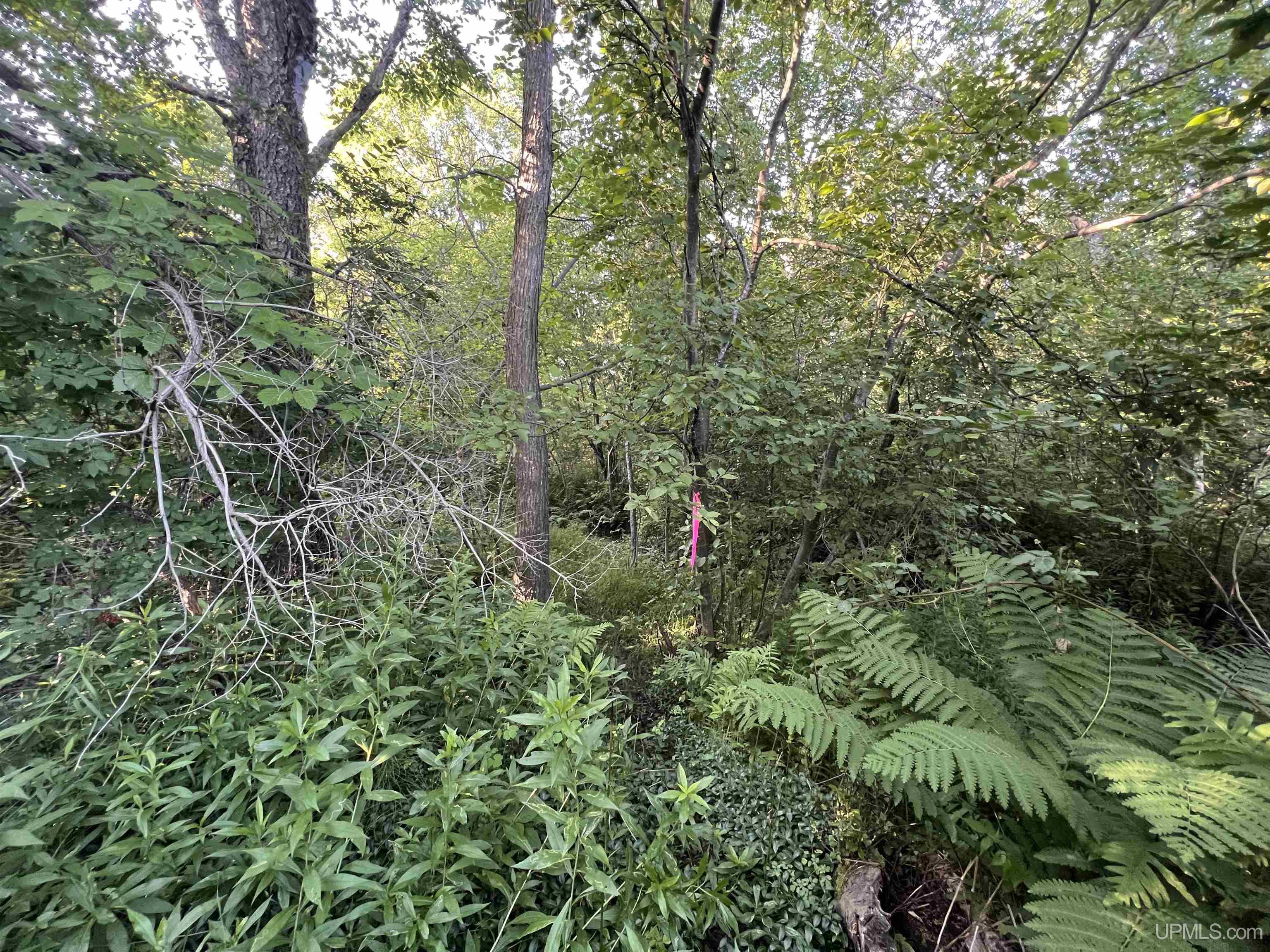 main property photo 11
