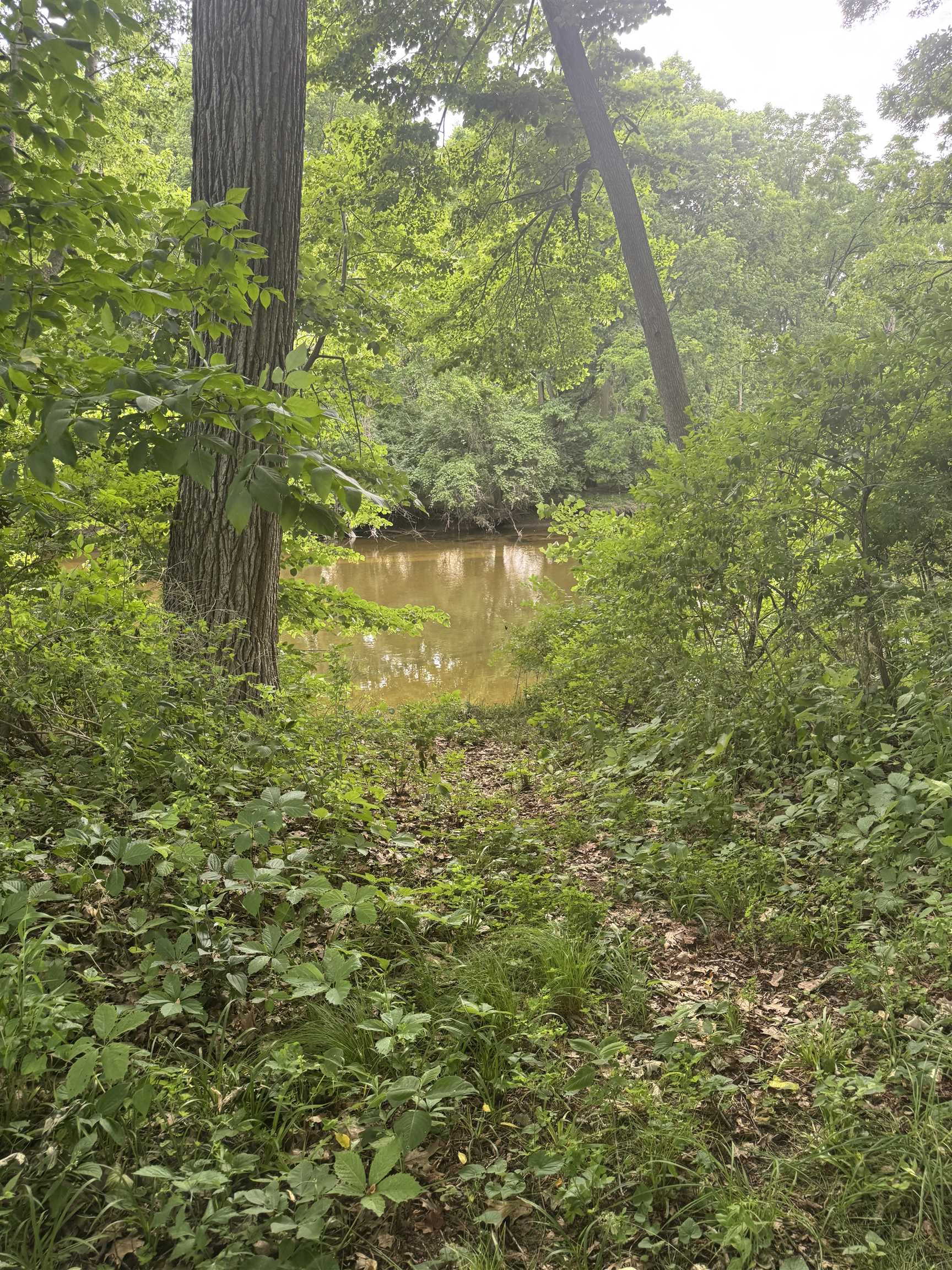 main property photo 8