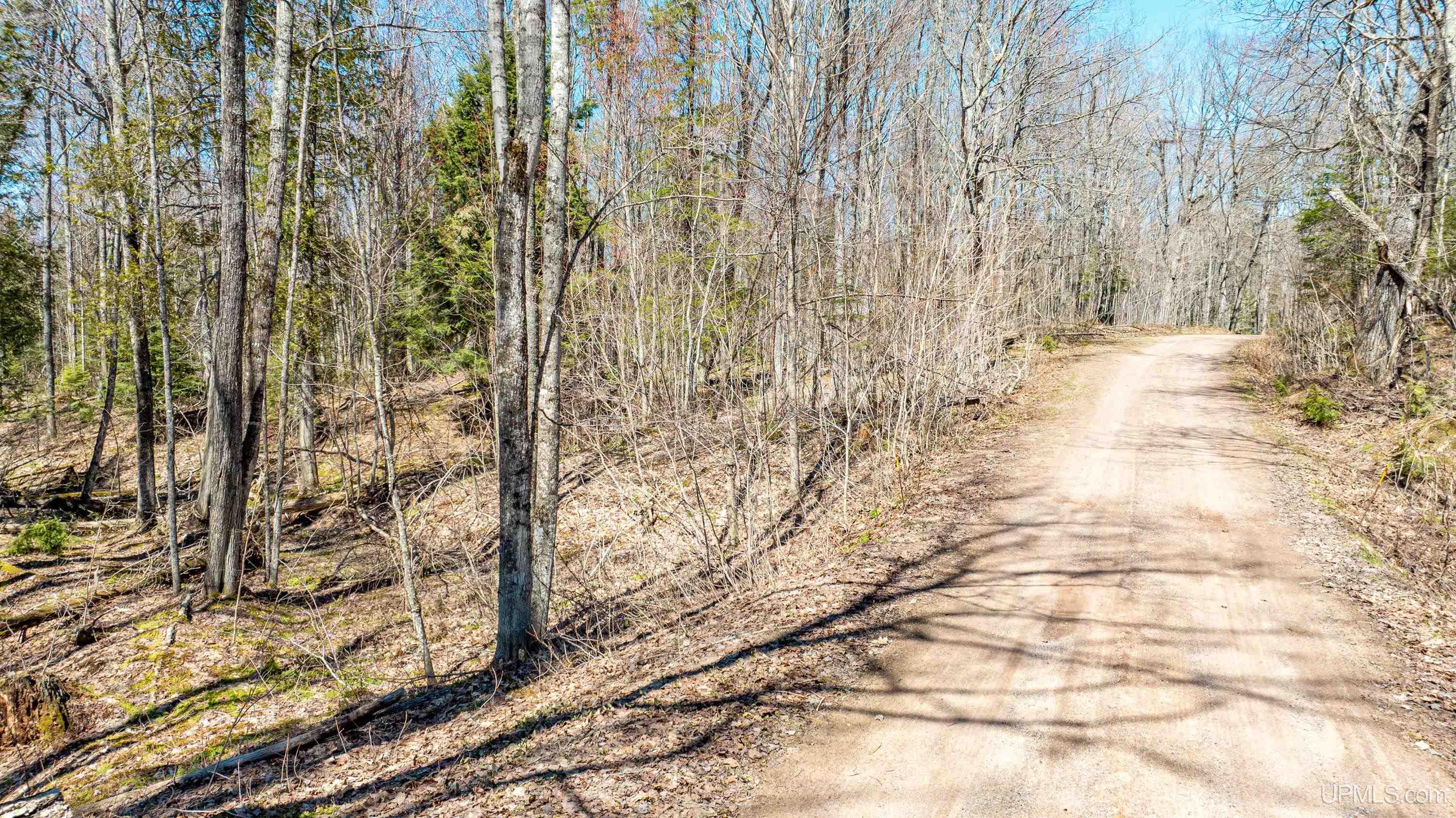 main property photo 42