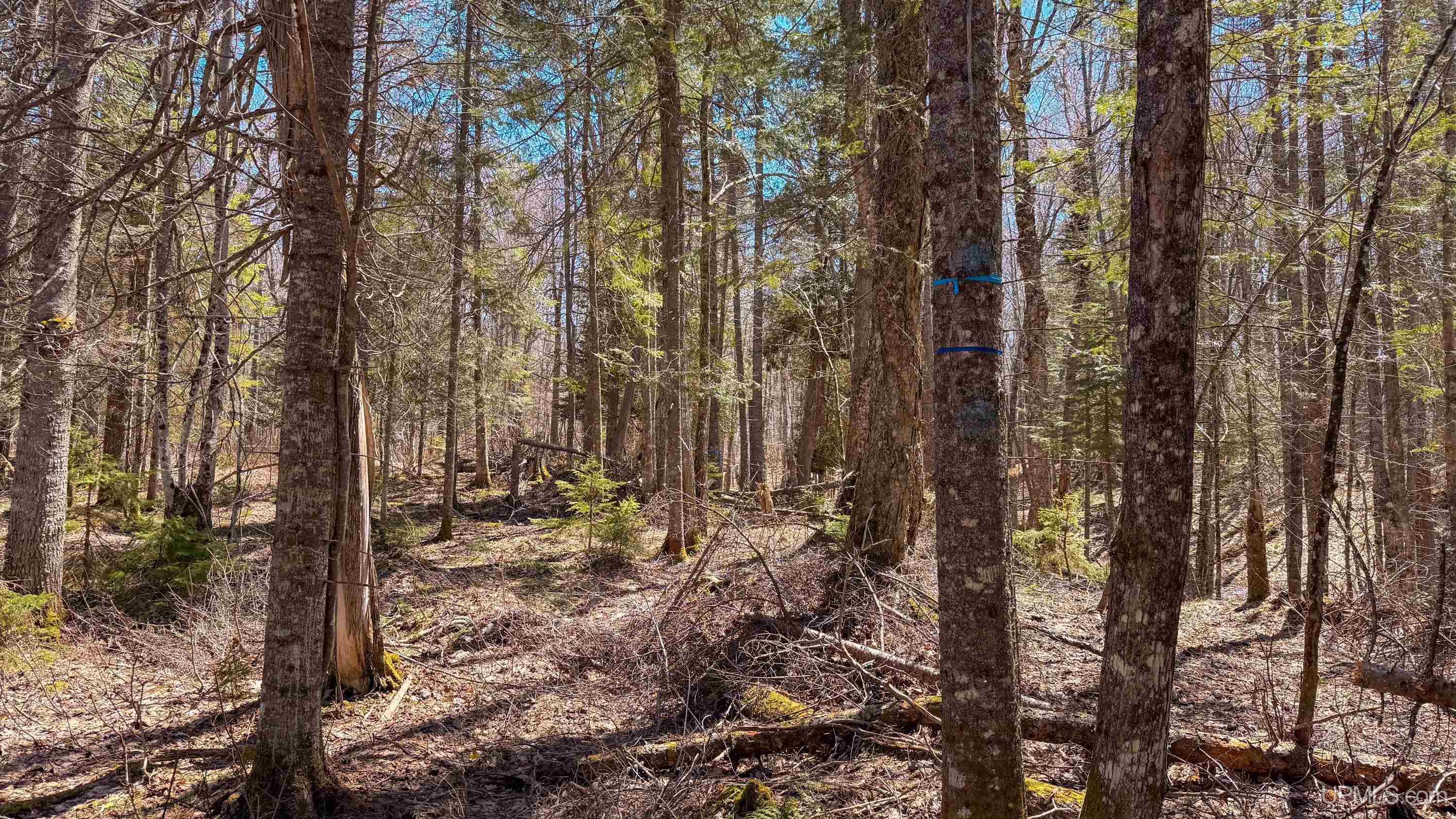 main property photo 45