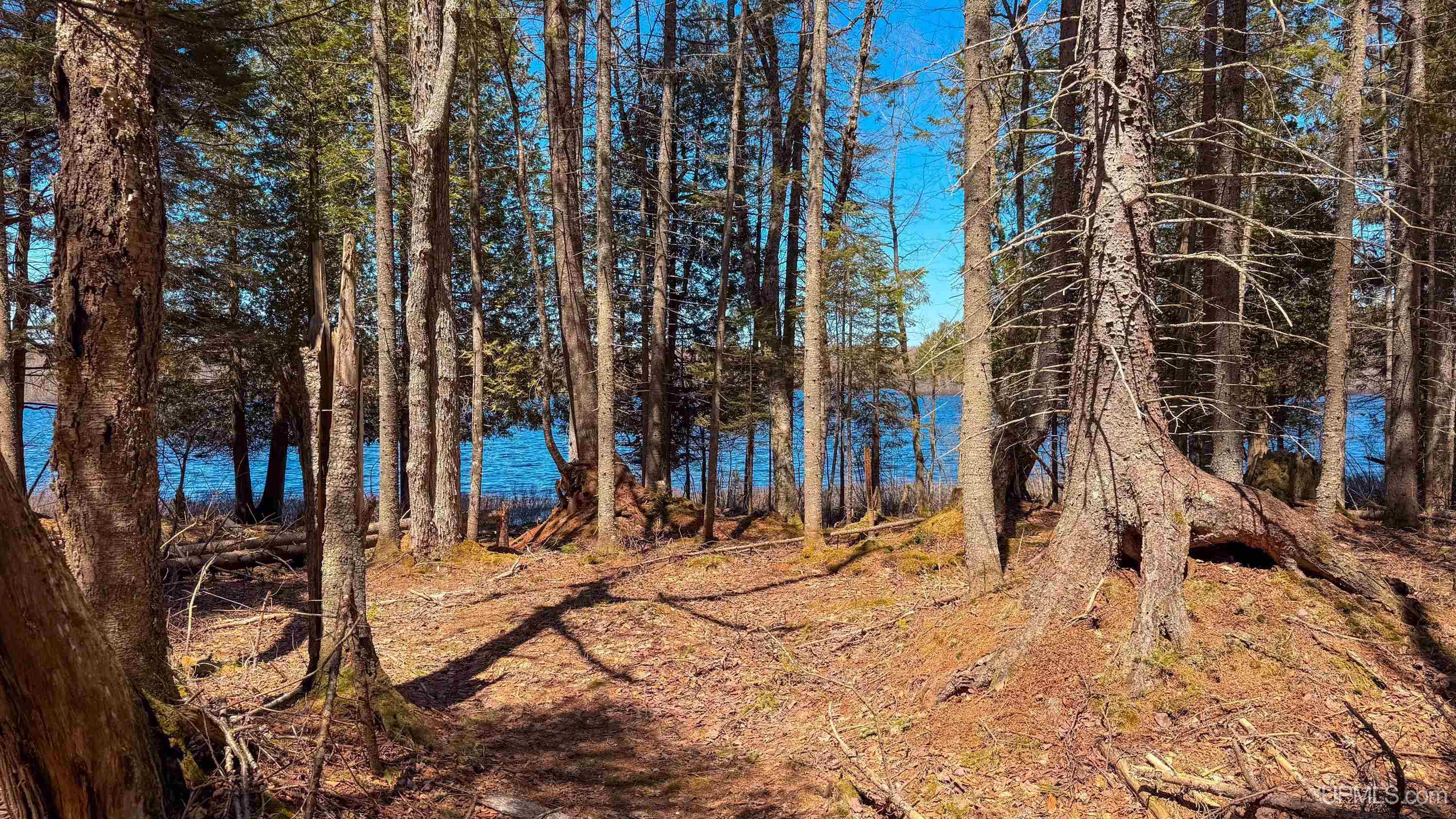 main property photo 49
