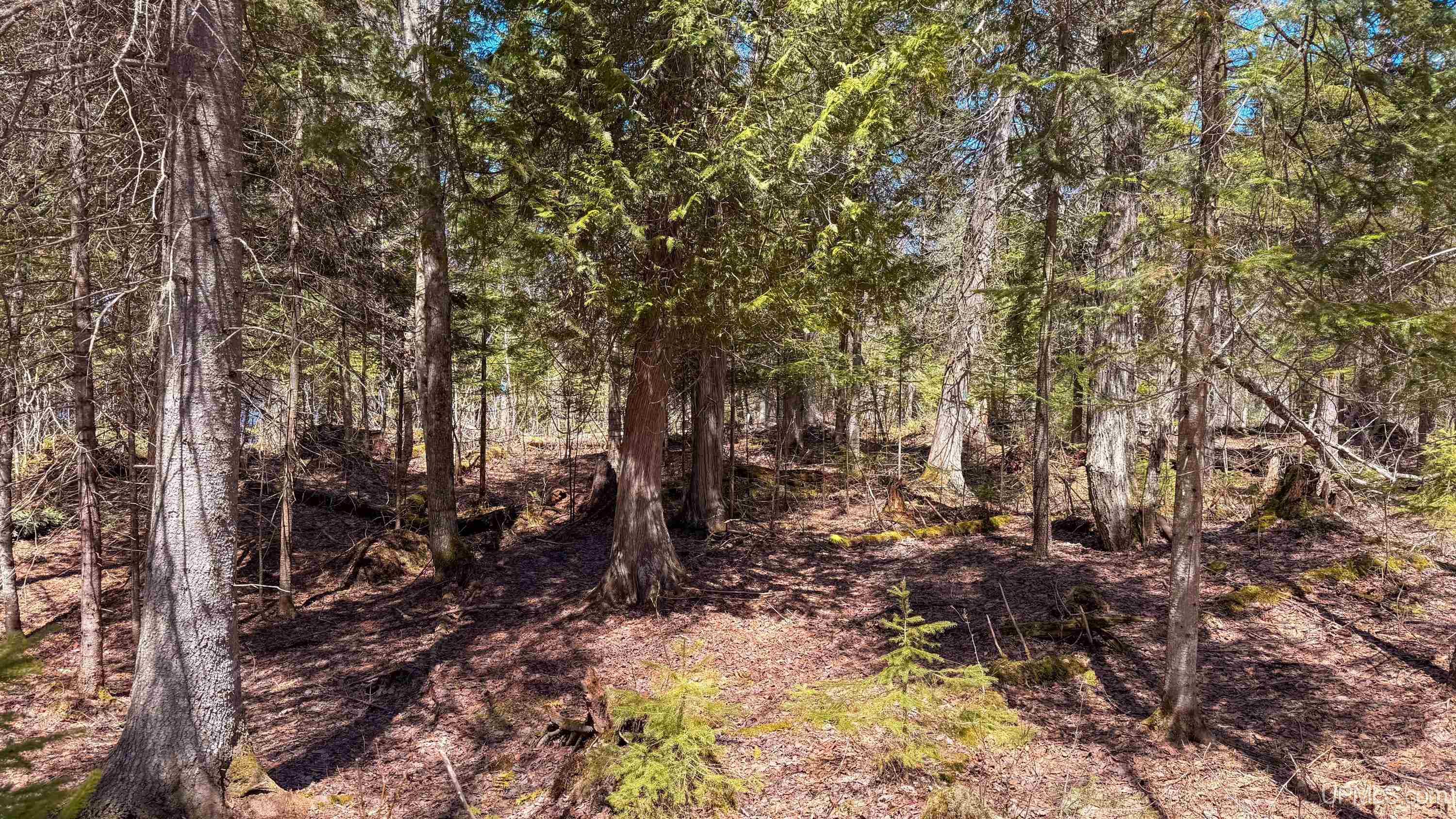 main property photo 54