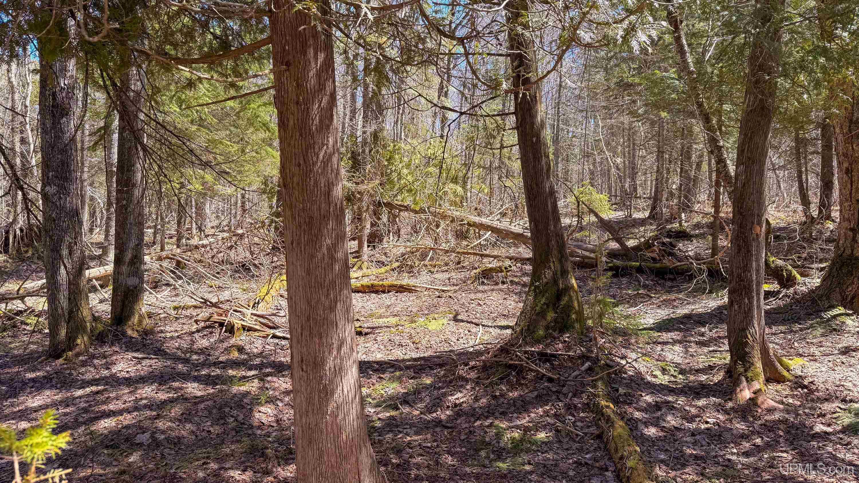 main property photo 55