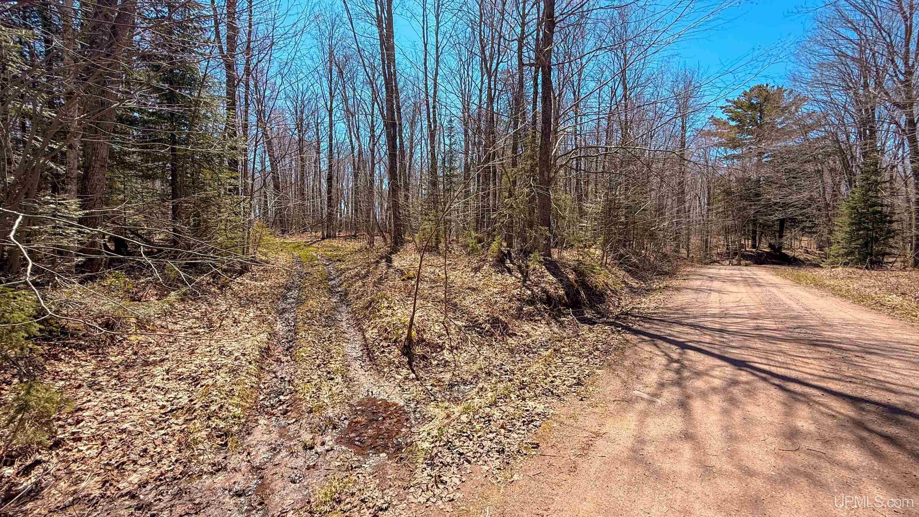 main property photo 58