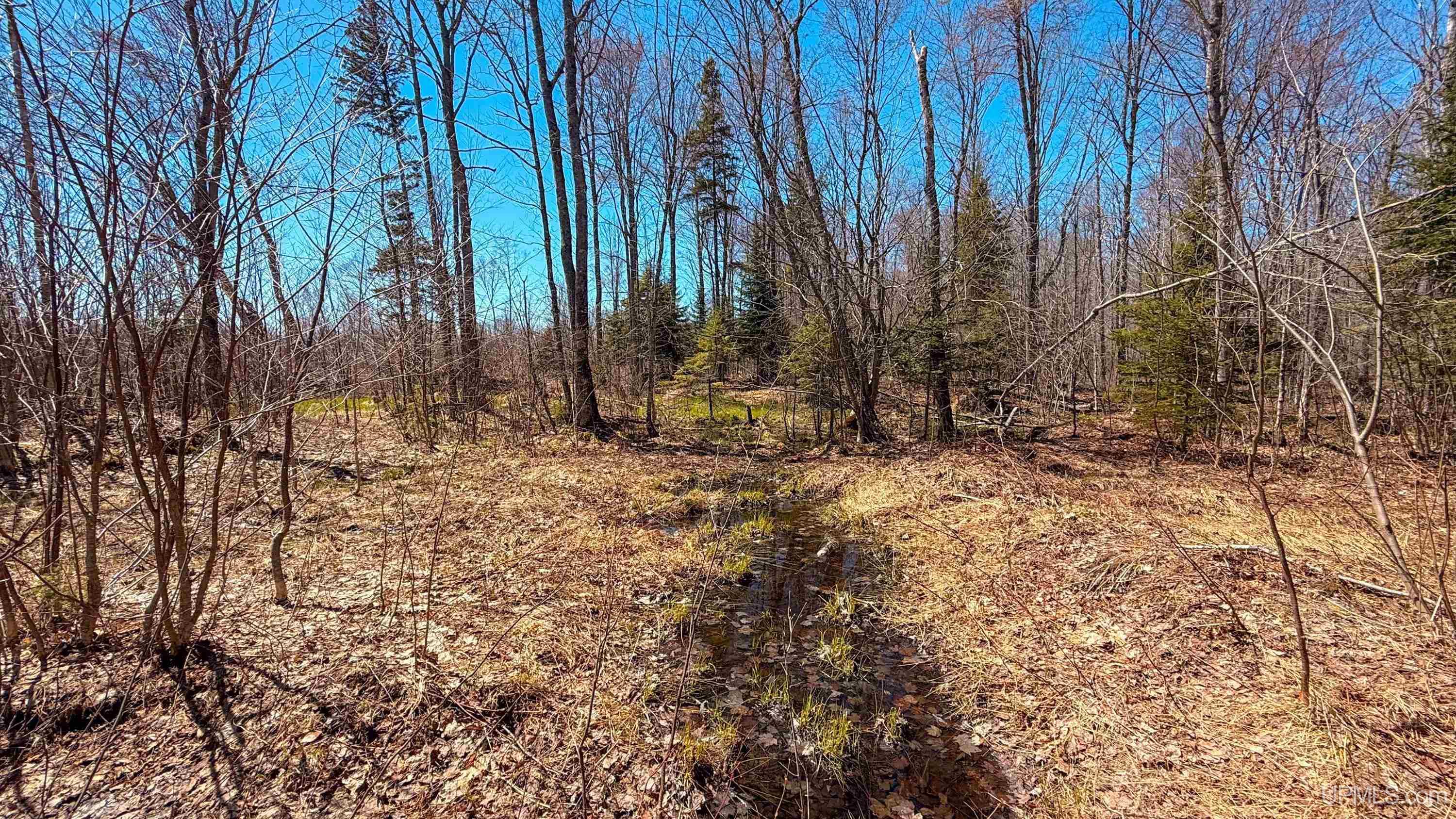 main property photo 63