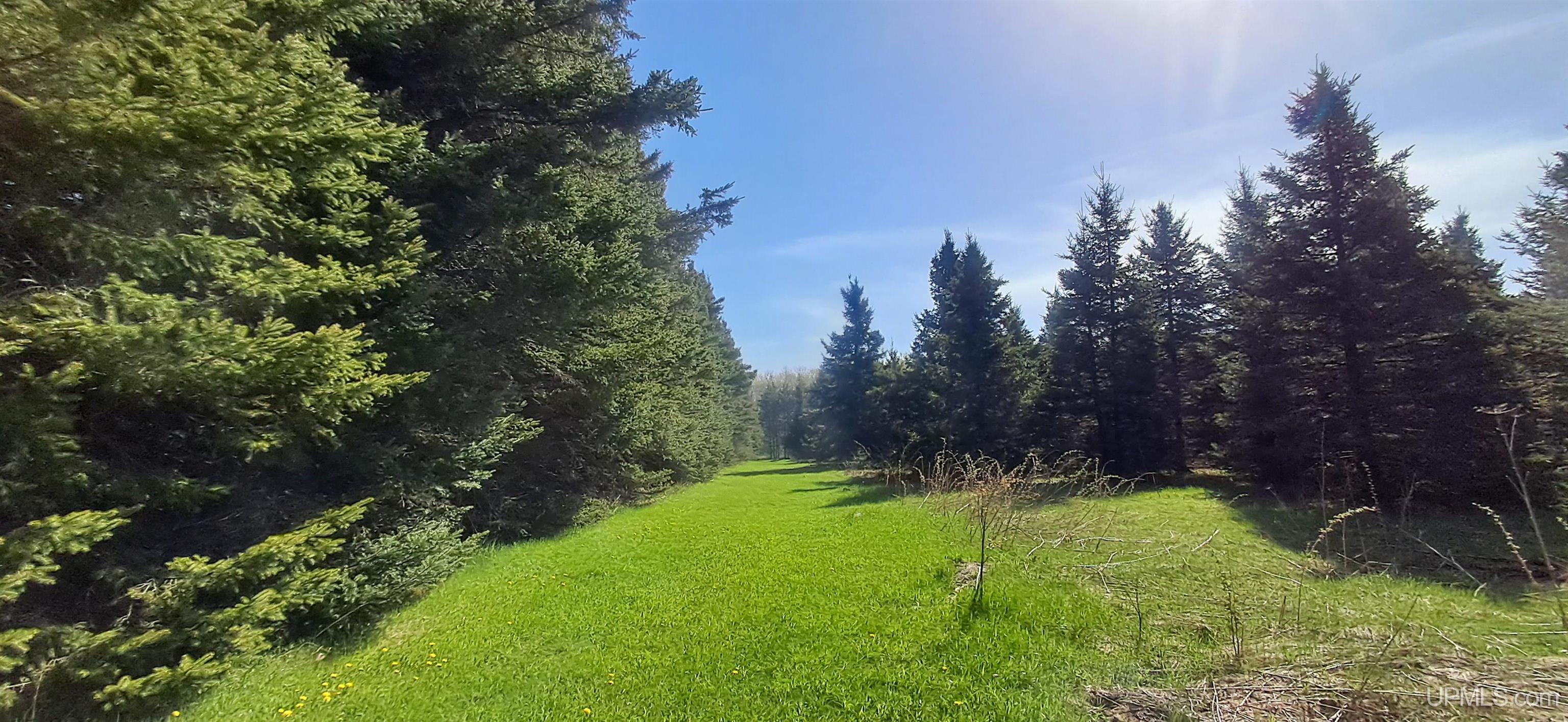 main property photo 9