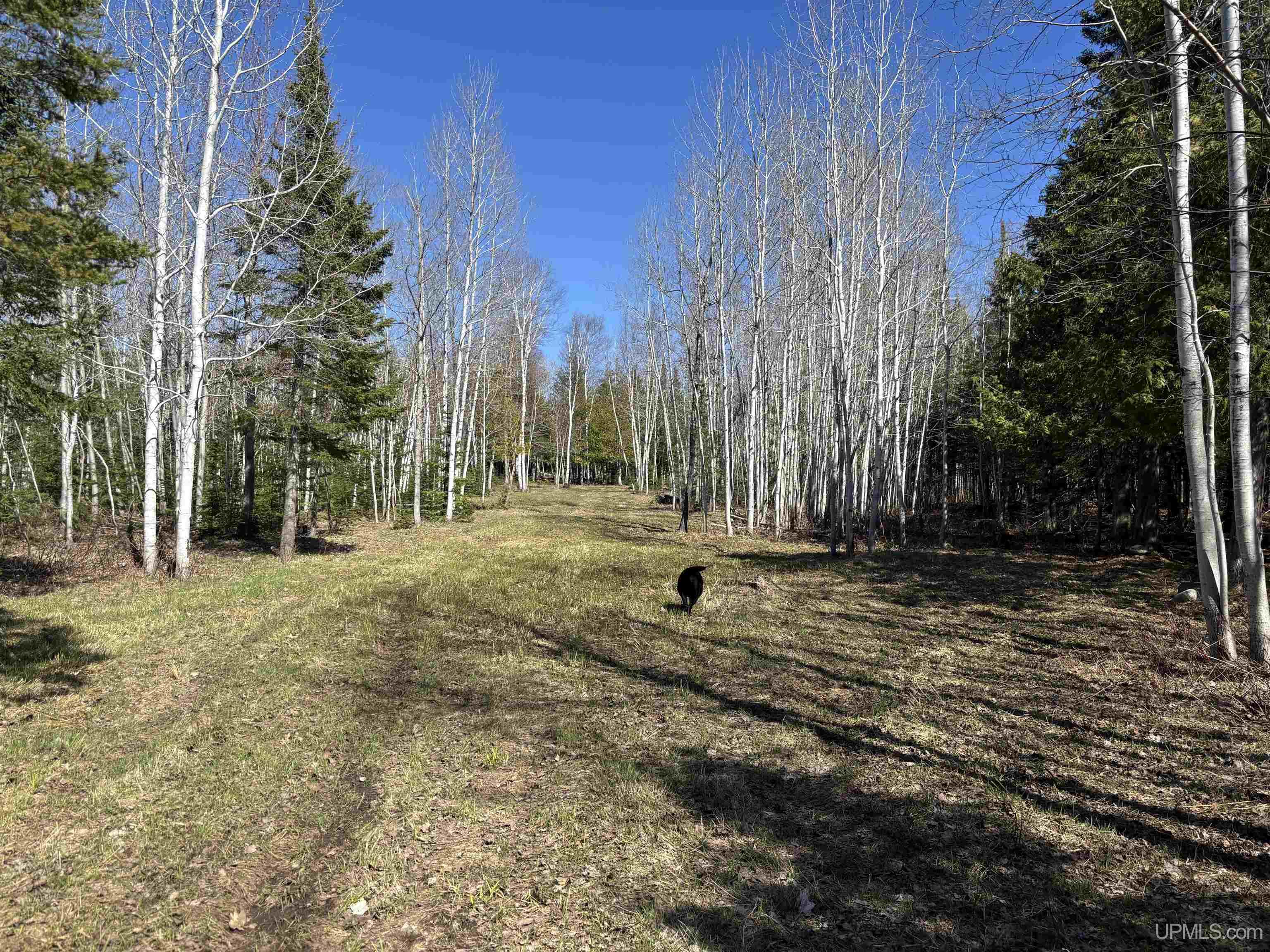 main property photo 49