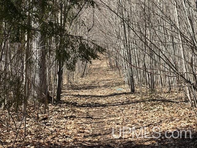 main property photo 46