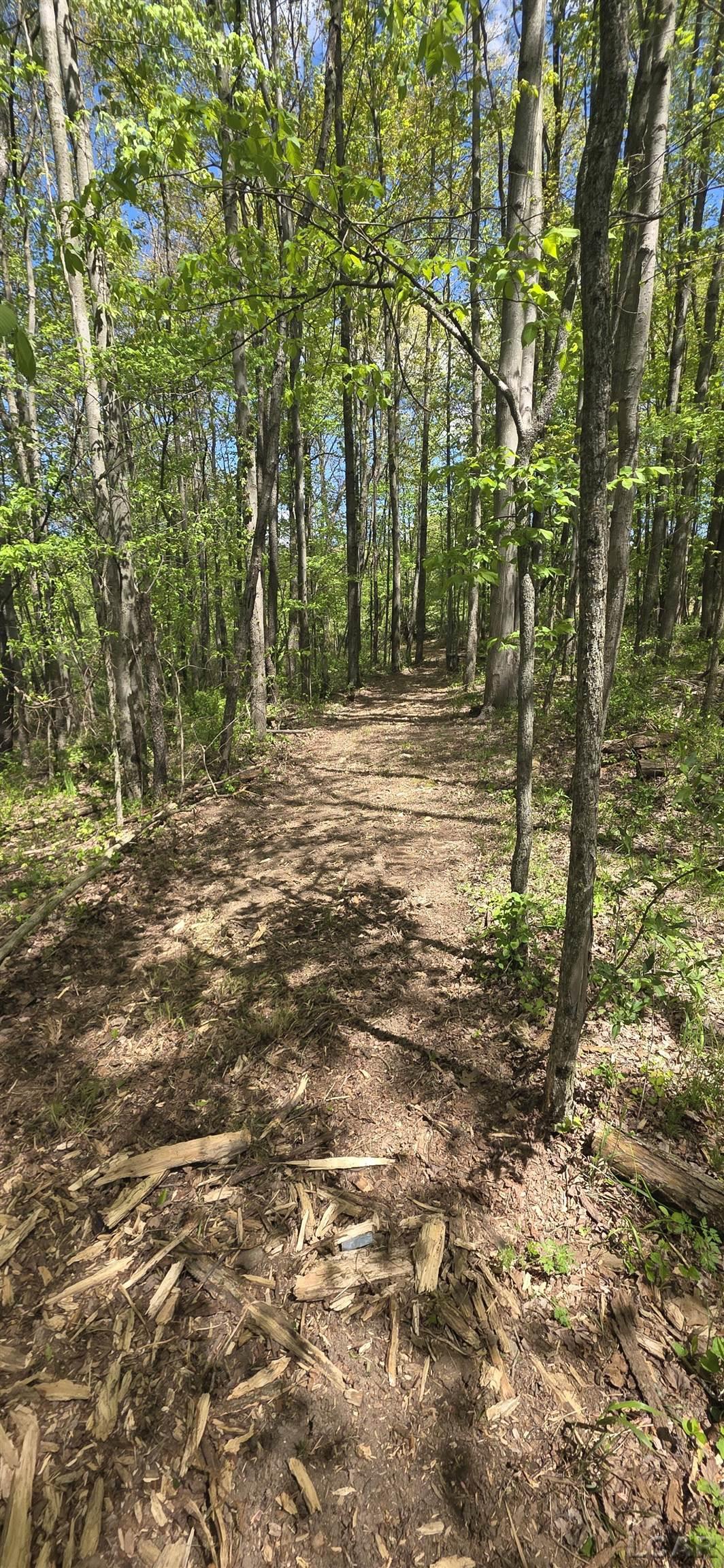 main property photo 27