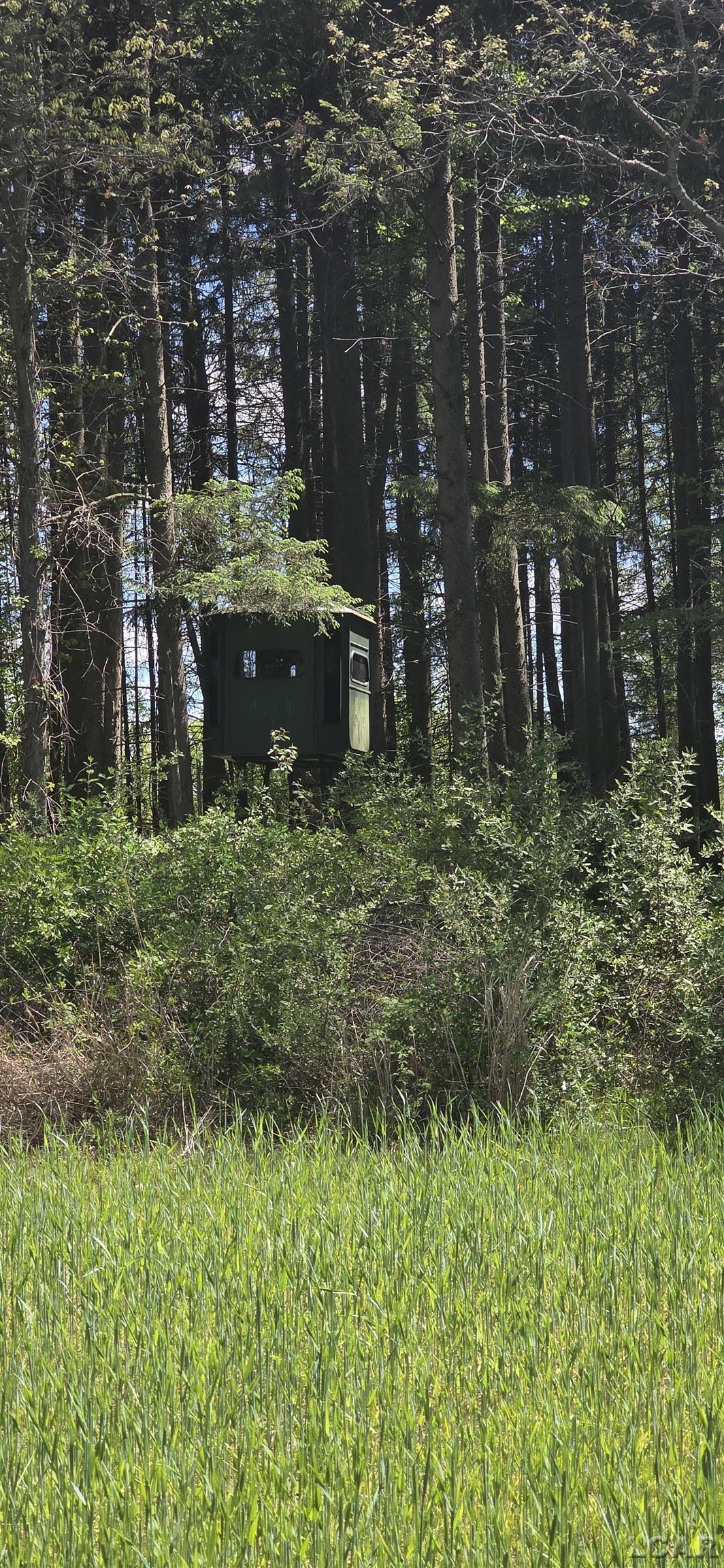main property photo 37