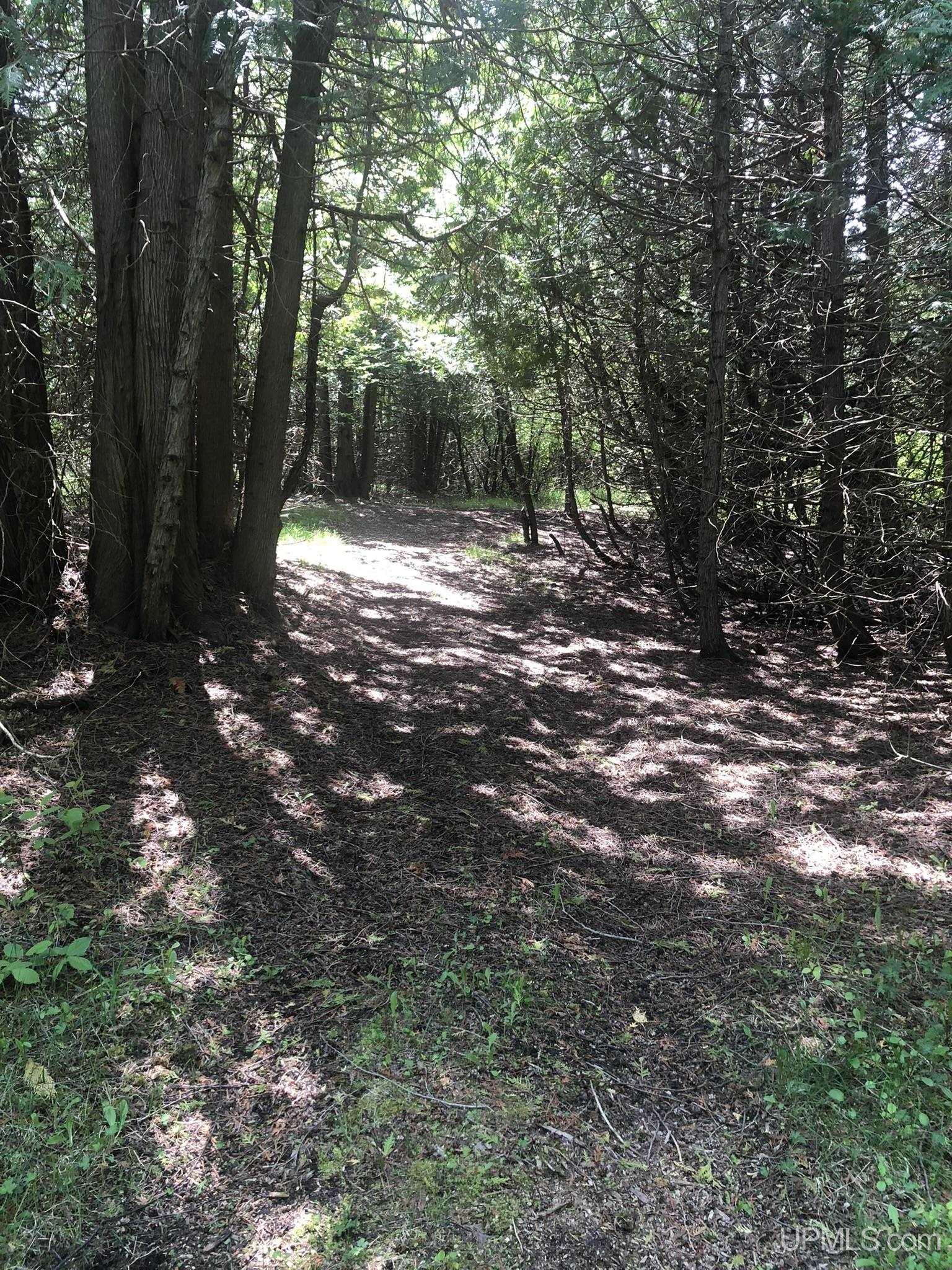 main property photo 81