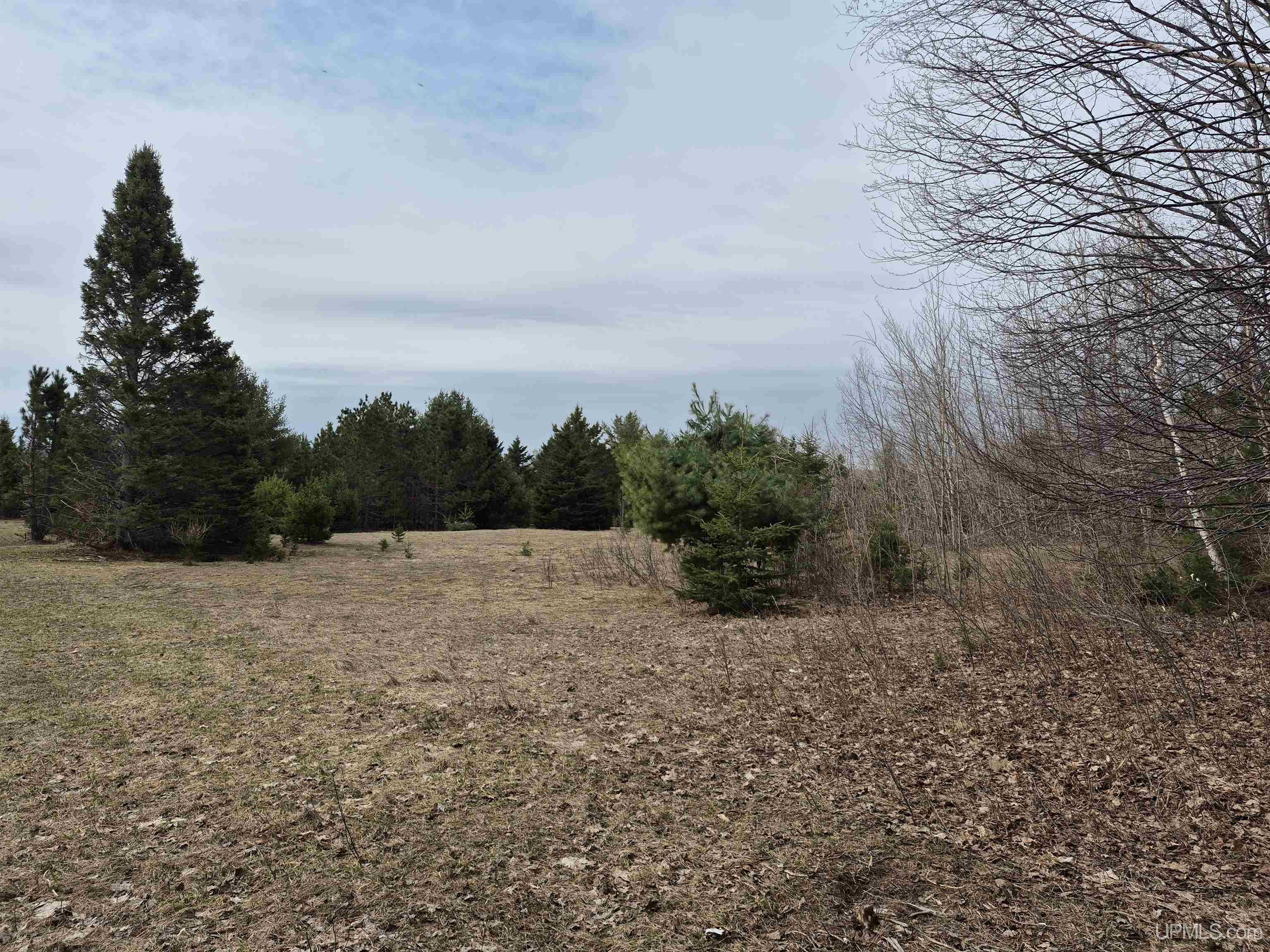 main property photo 51