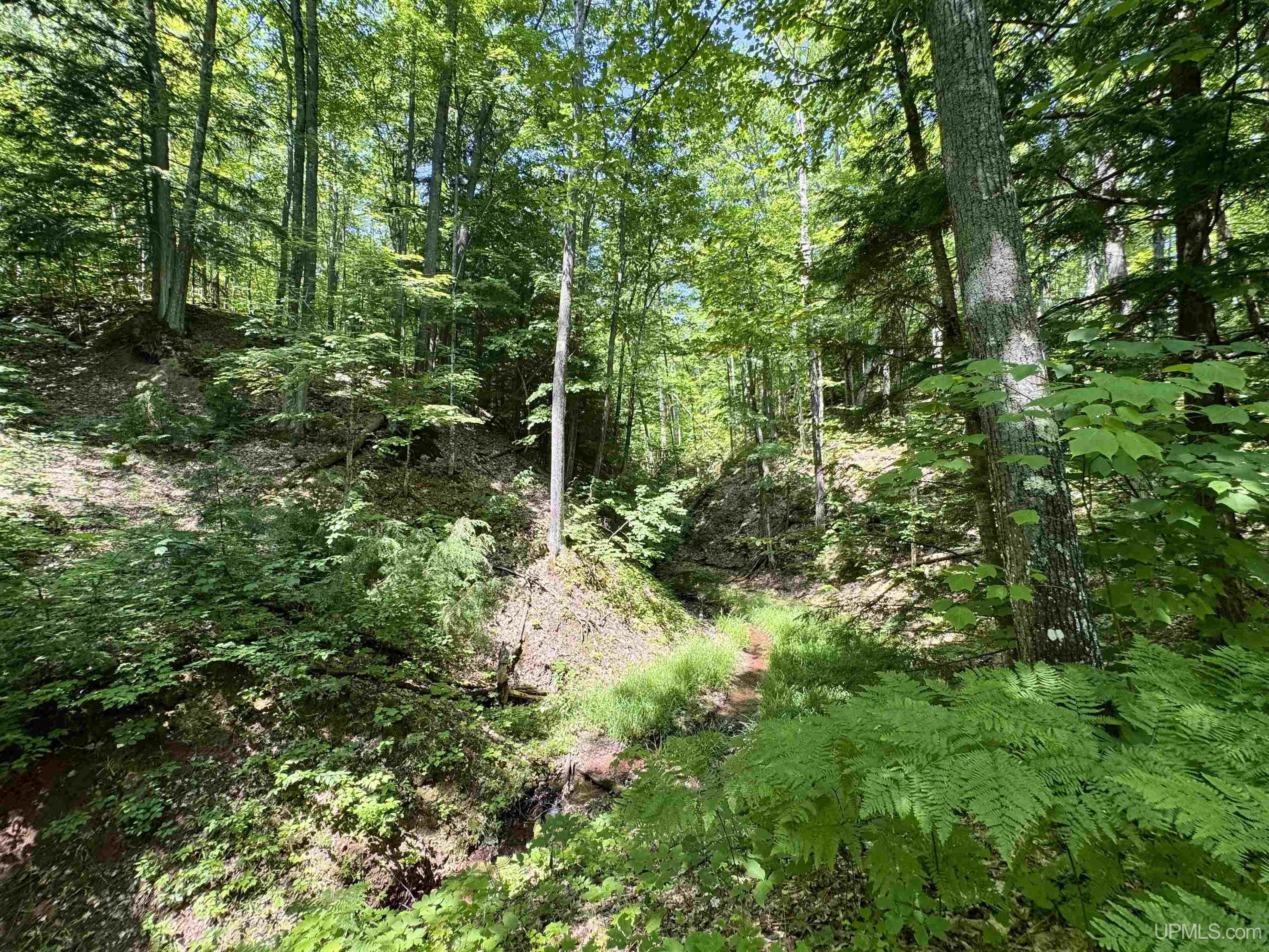 main property photo 40
