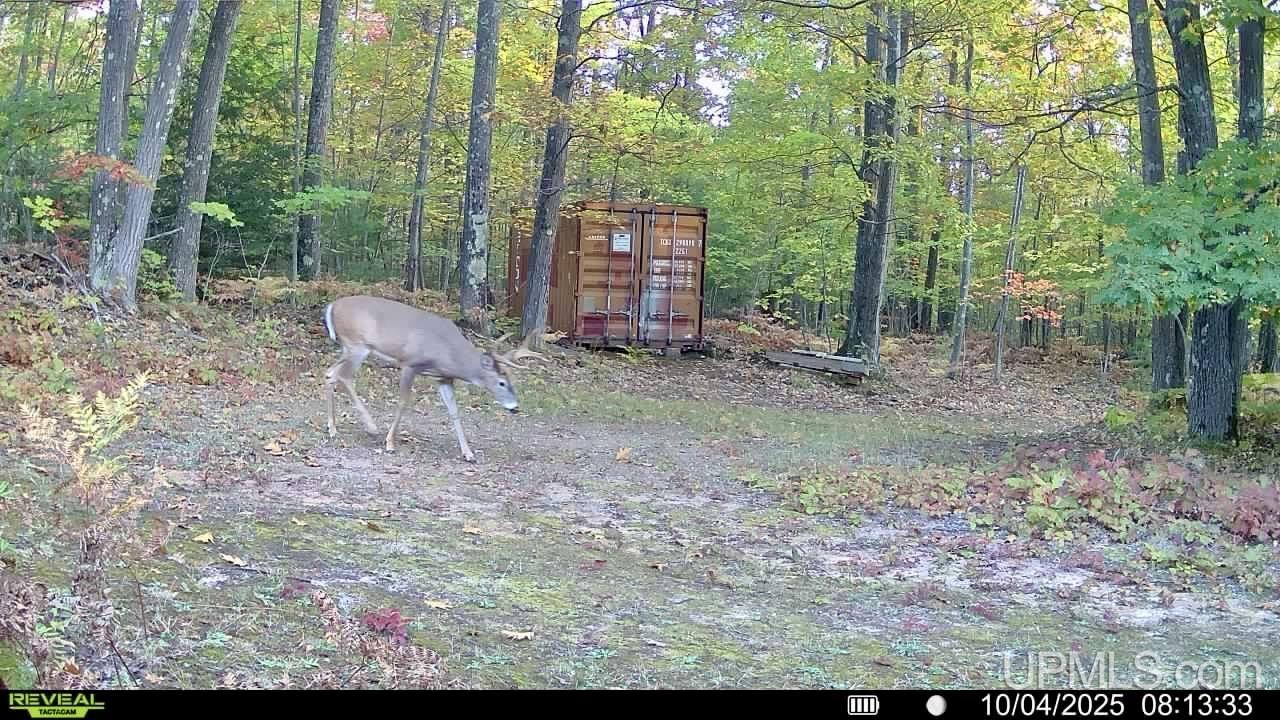 main property photo 52