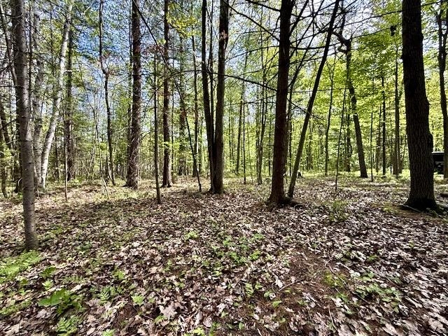 main property photo 58