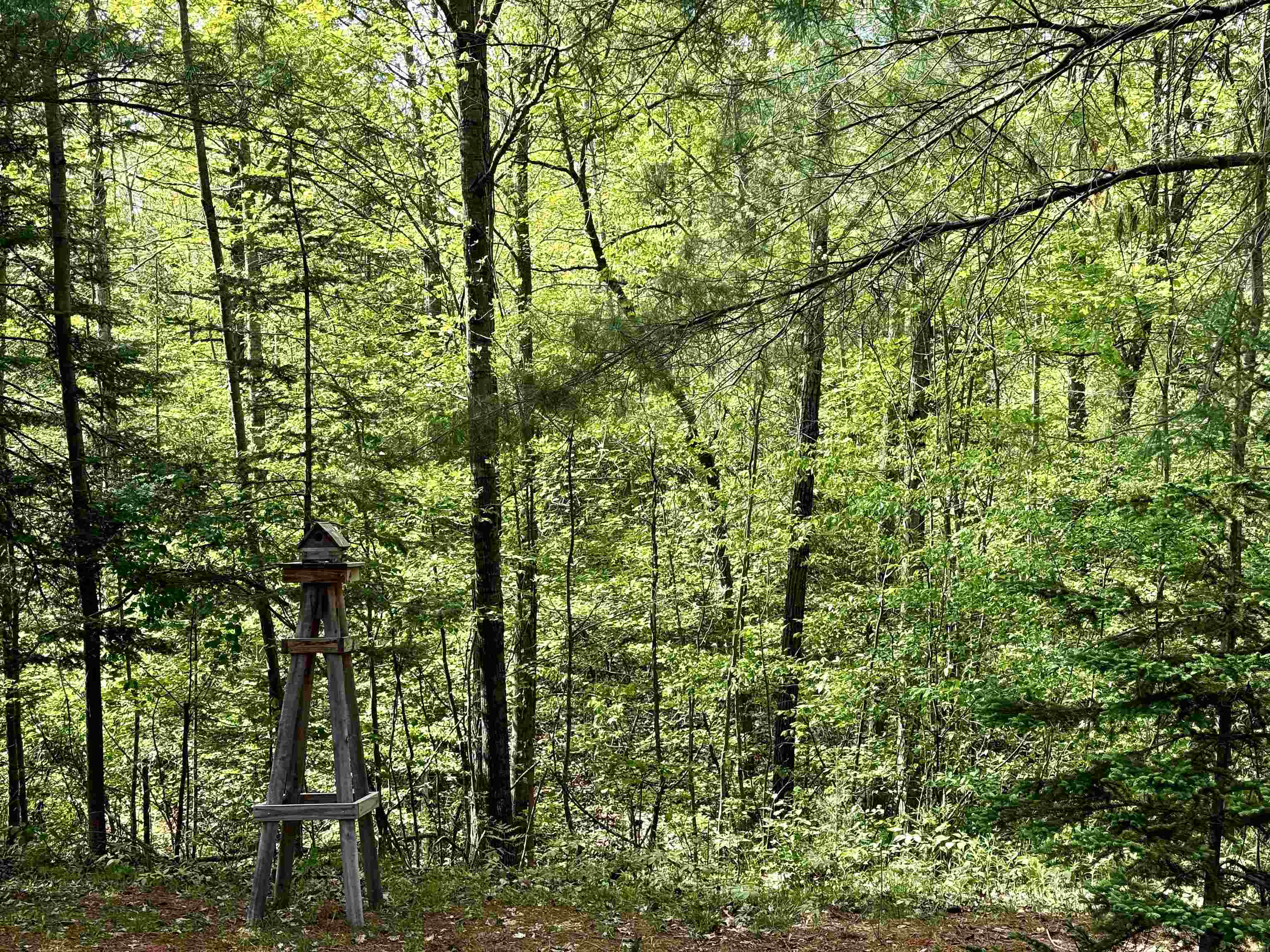 main property photo 59