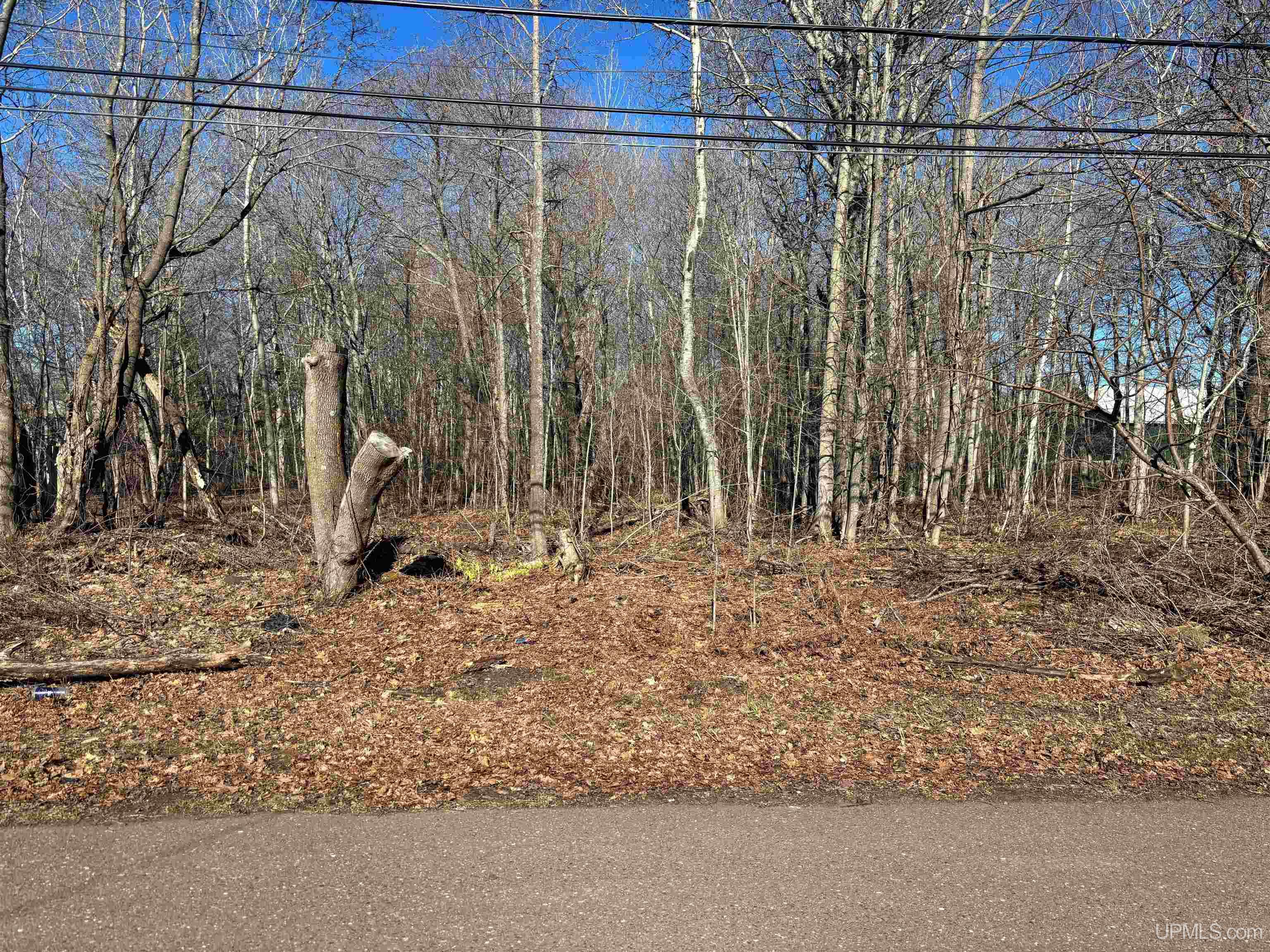 main property photo 12
