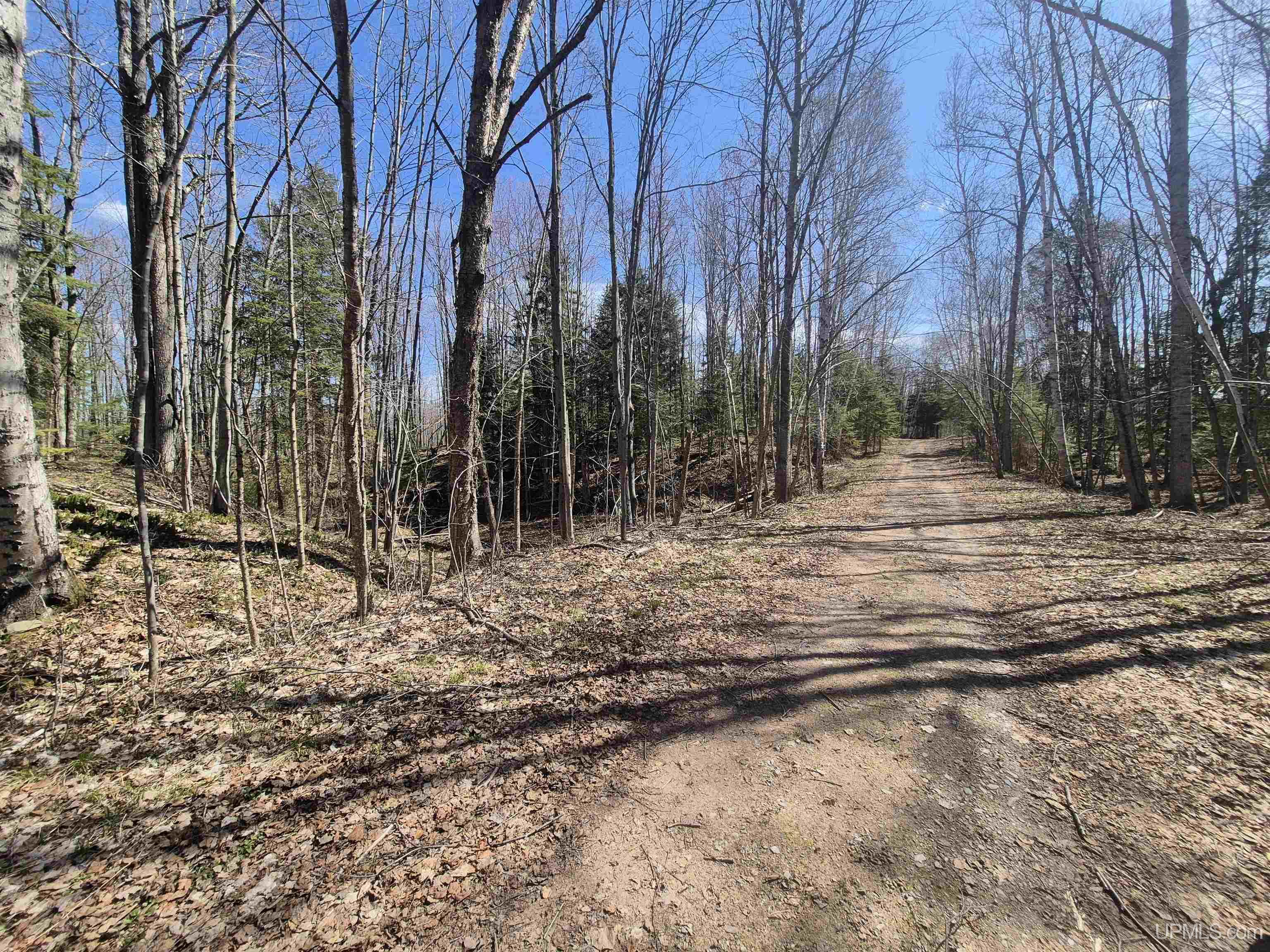 main property photo 13