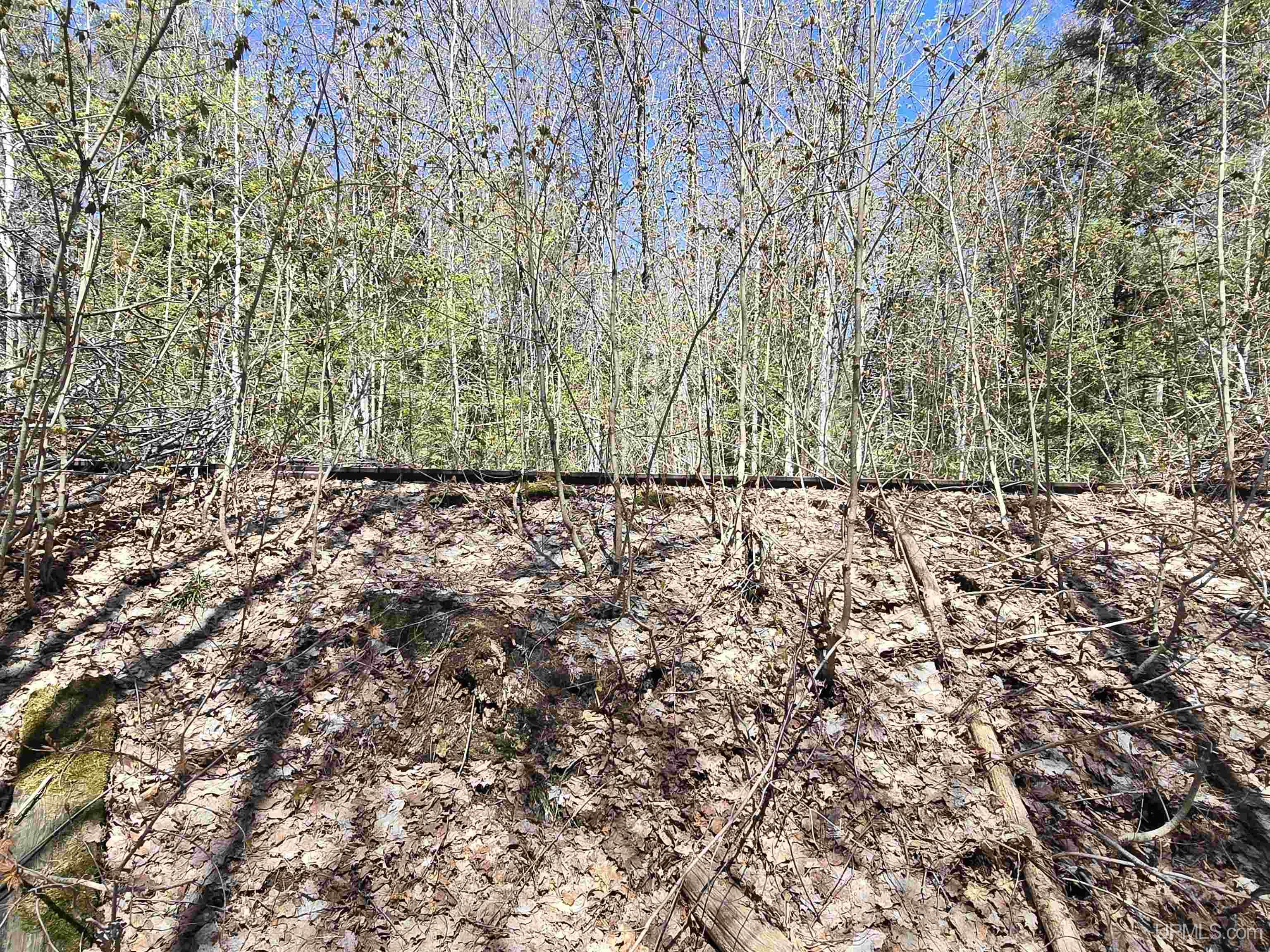 main property photo 25