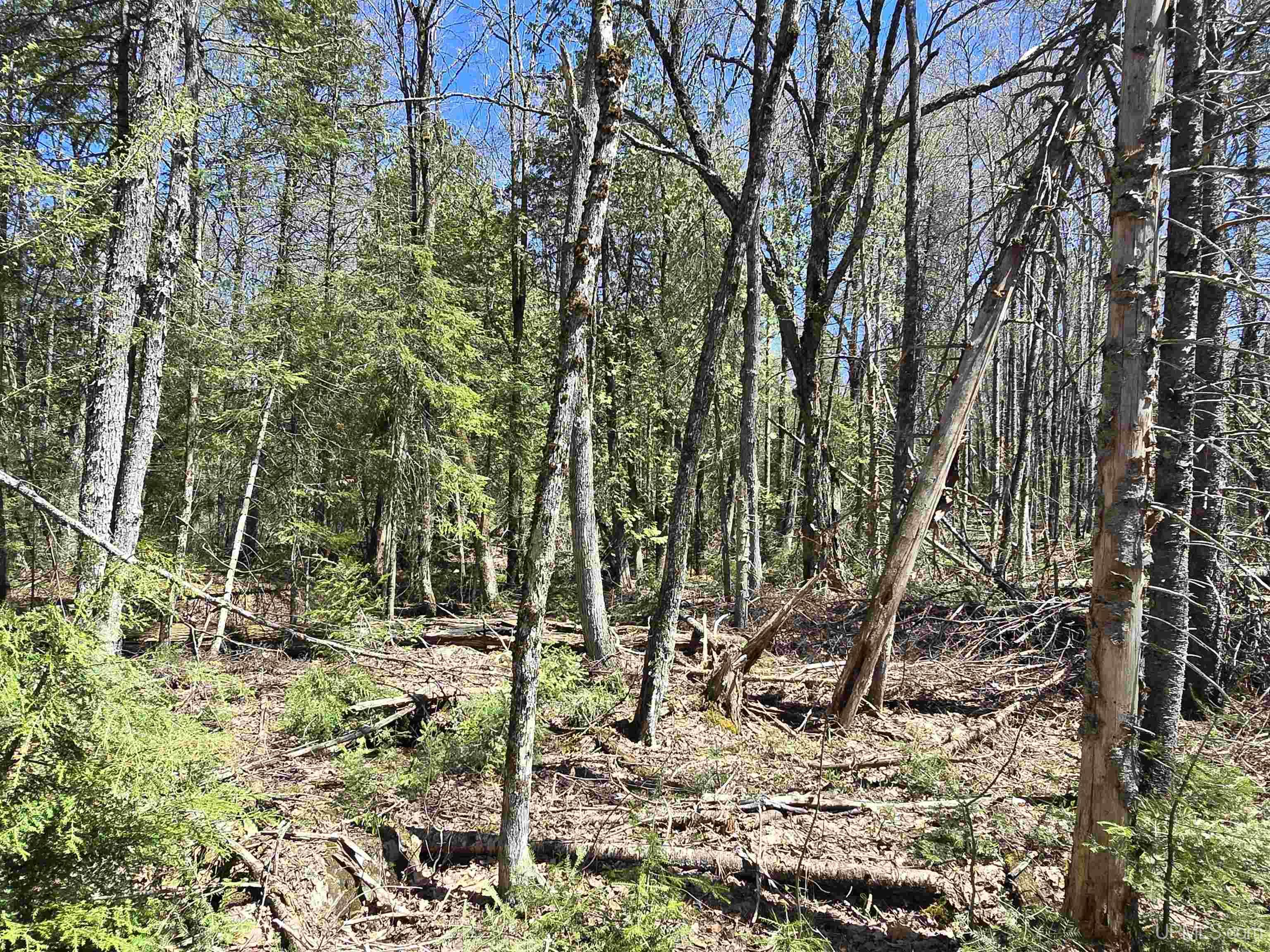 main property photo 35
