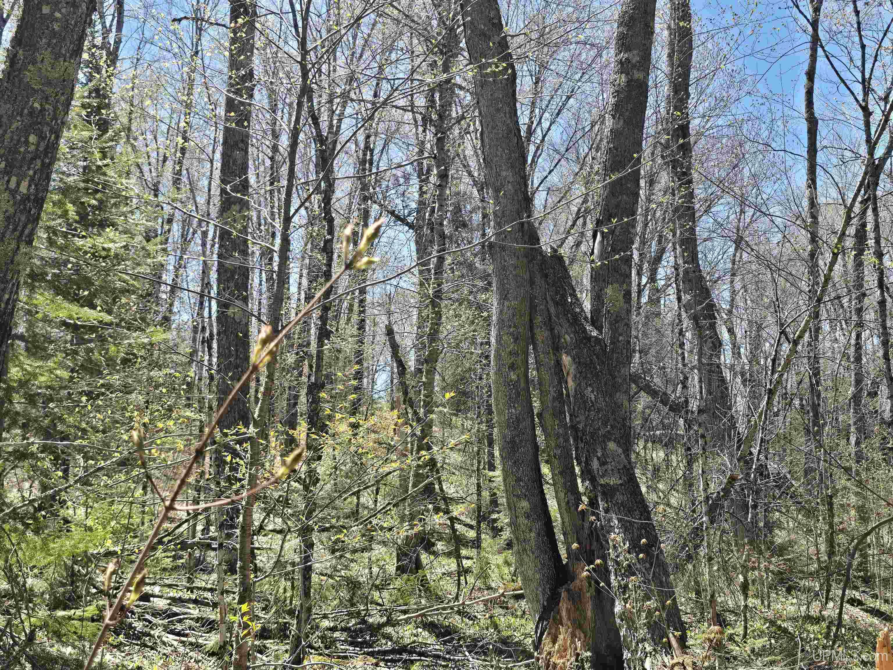 main property photo 39