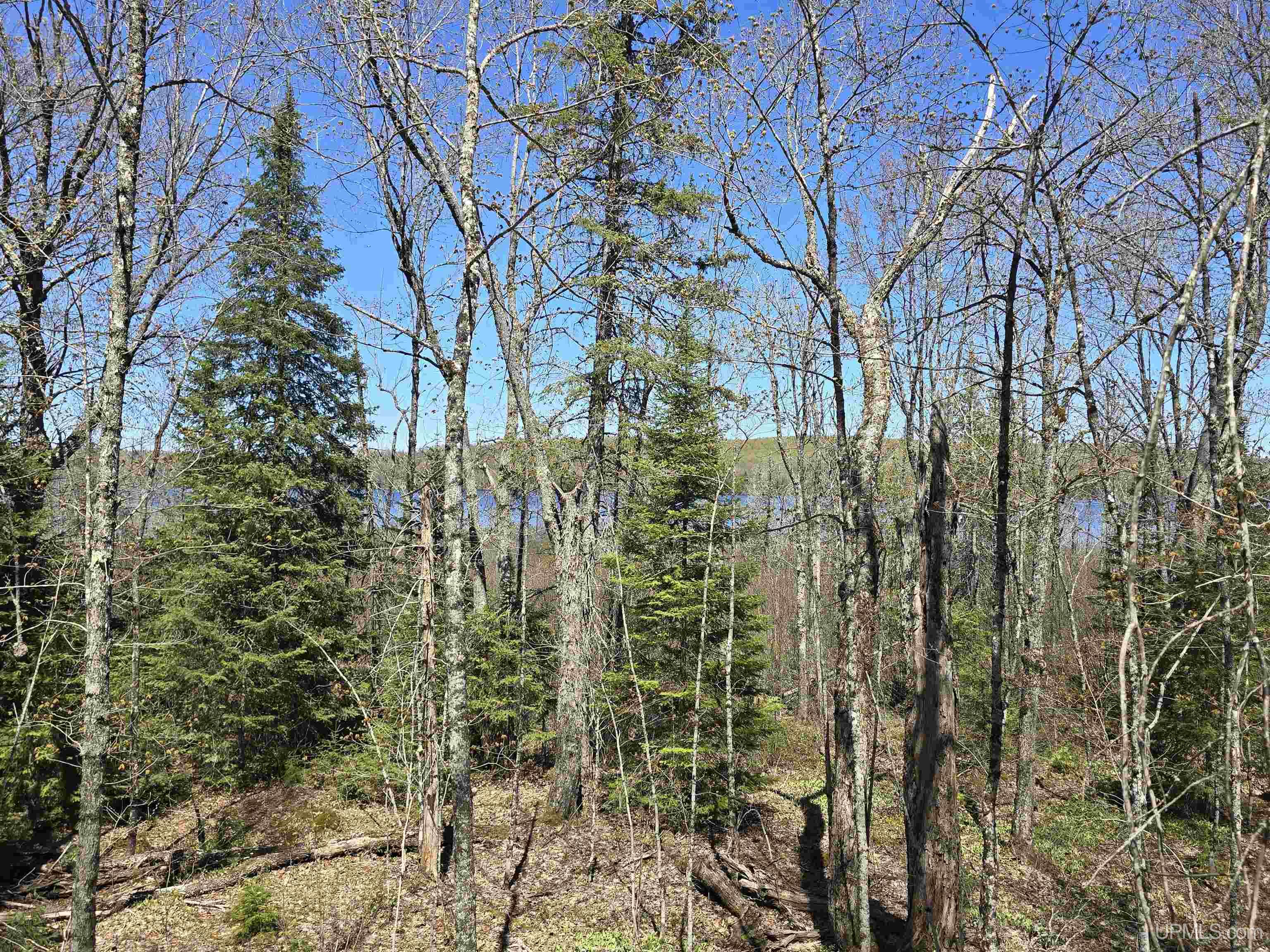 main property photo 41