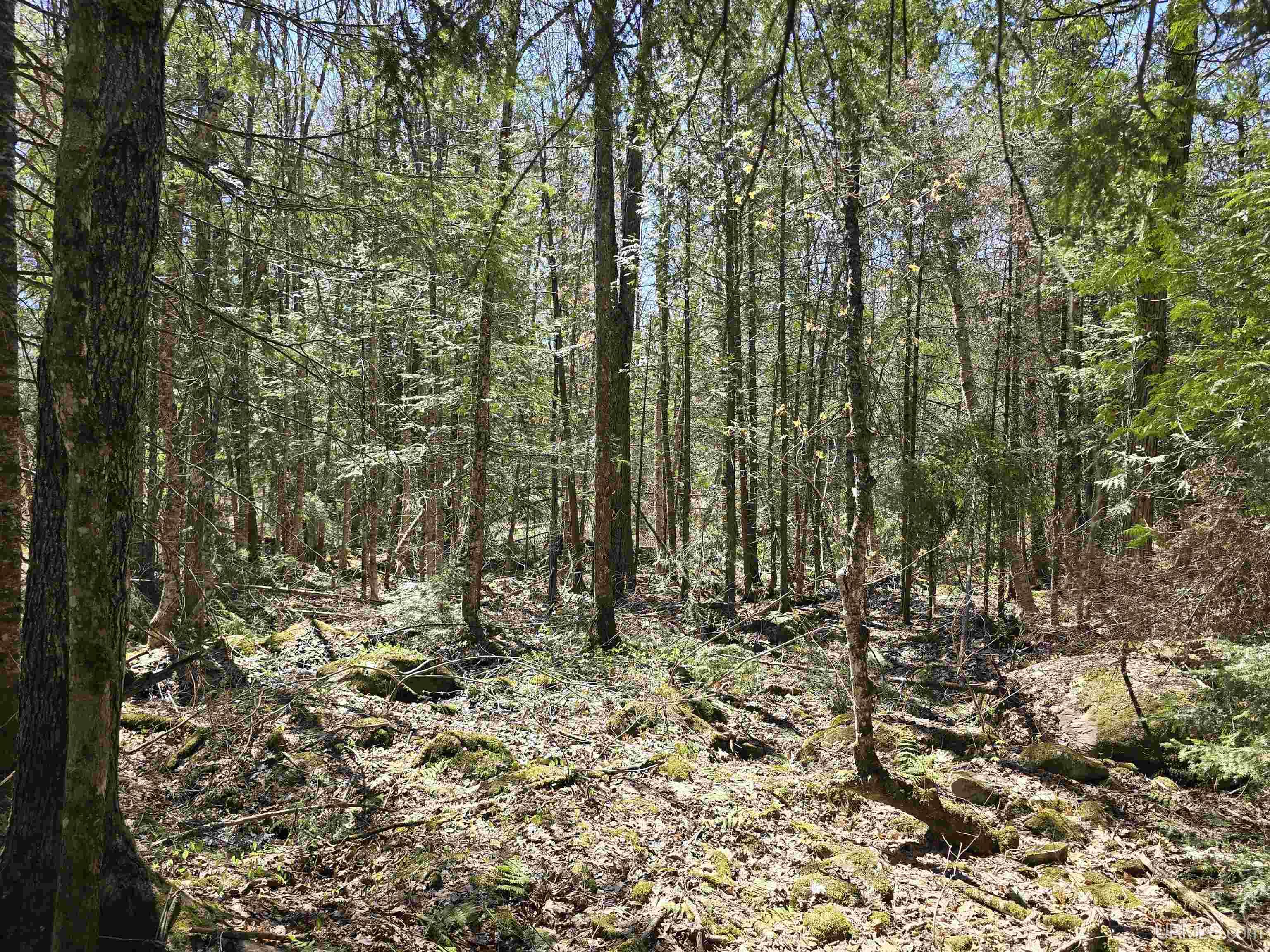main property photo 44