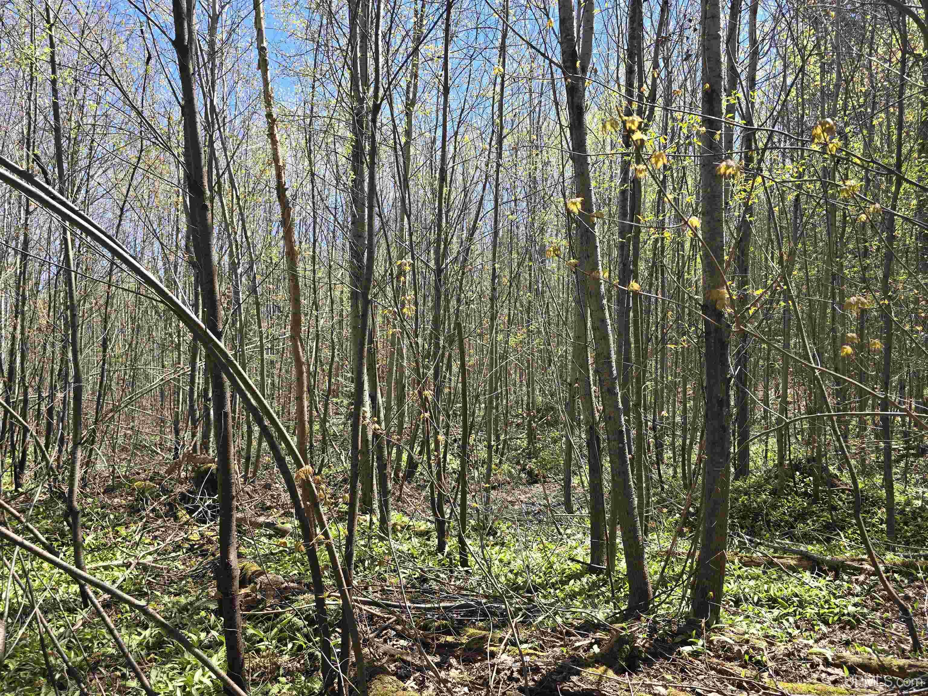 main property photo 46