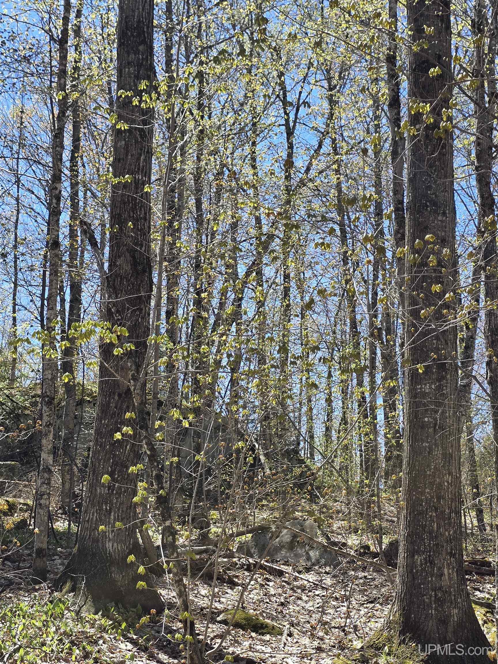 main property photo 52