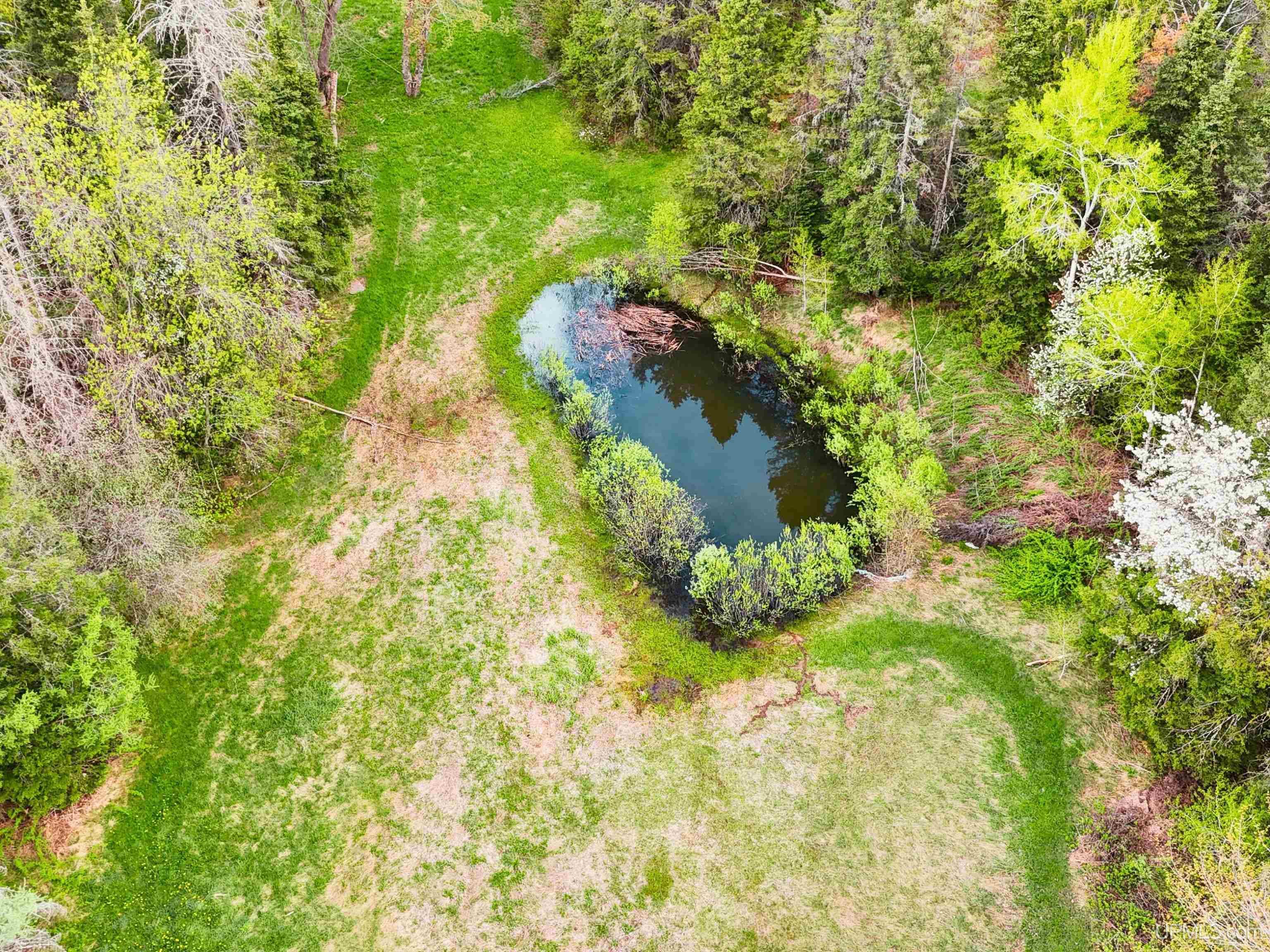 main property photo 43