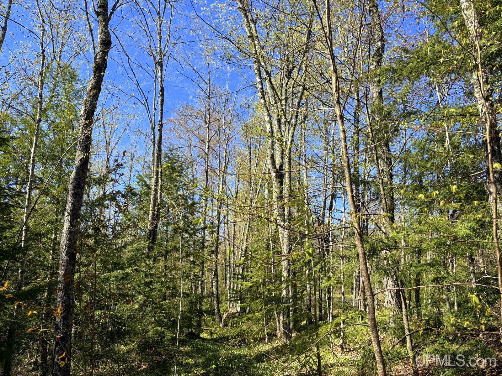 main property photo 25