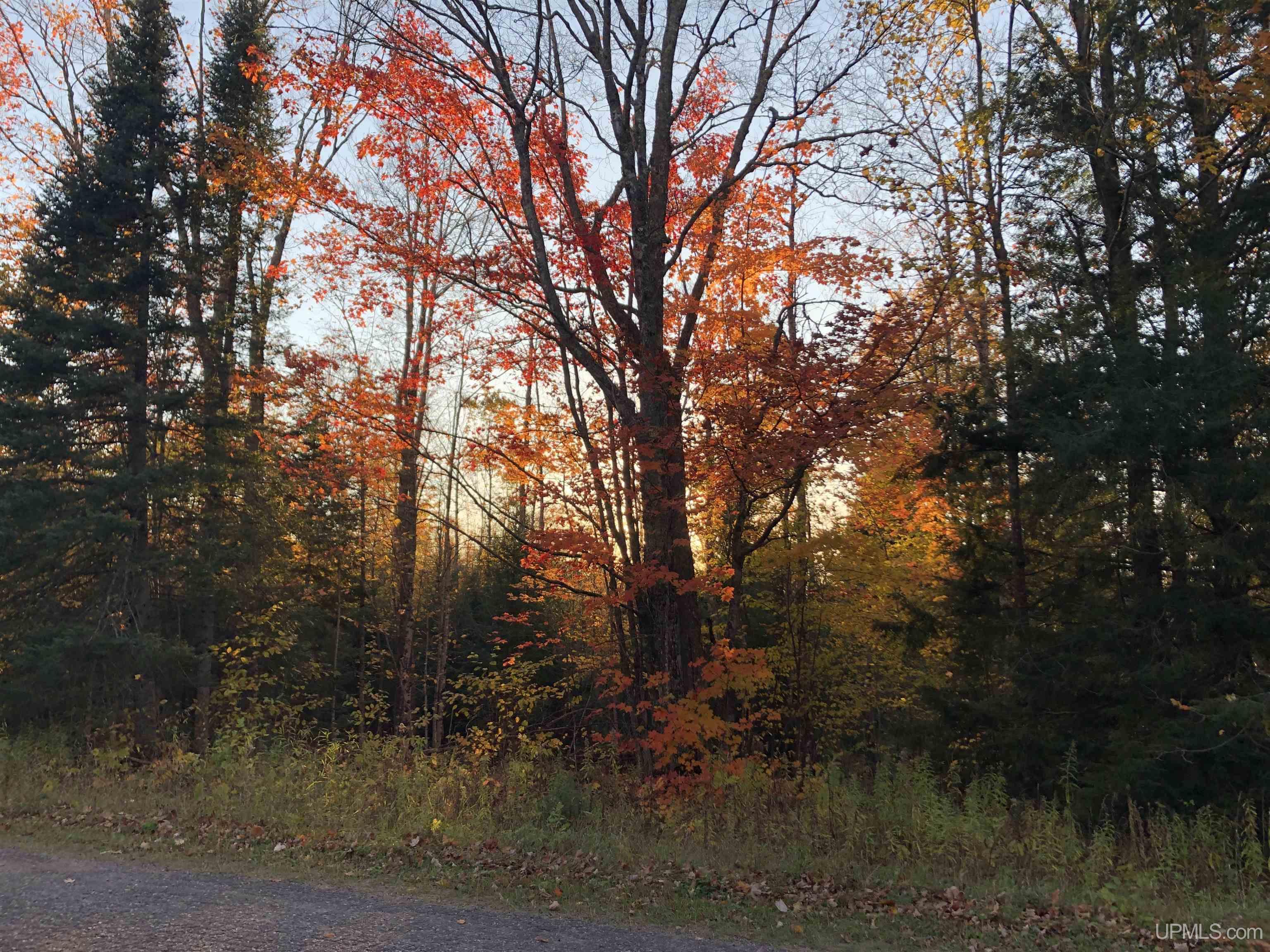 main property photo 52