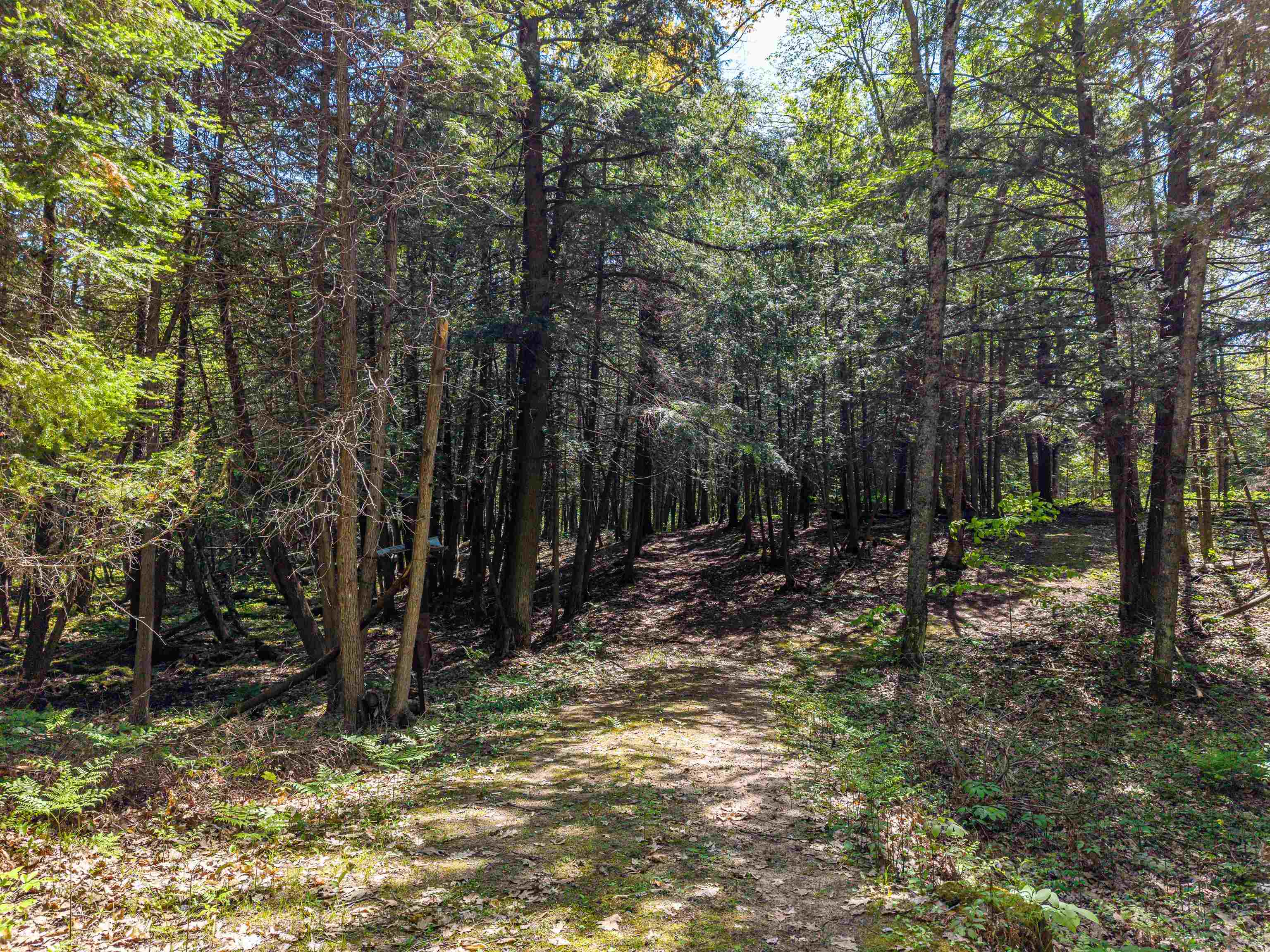 main property photo 33