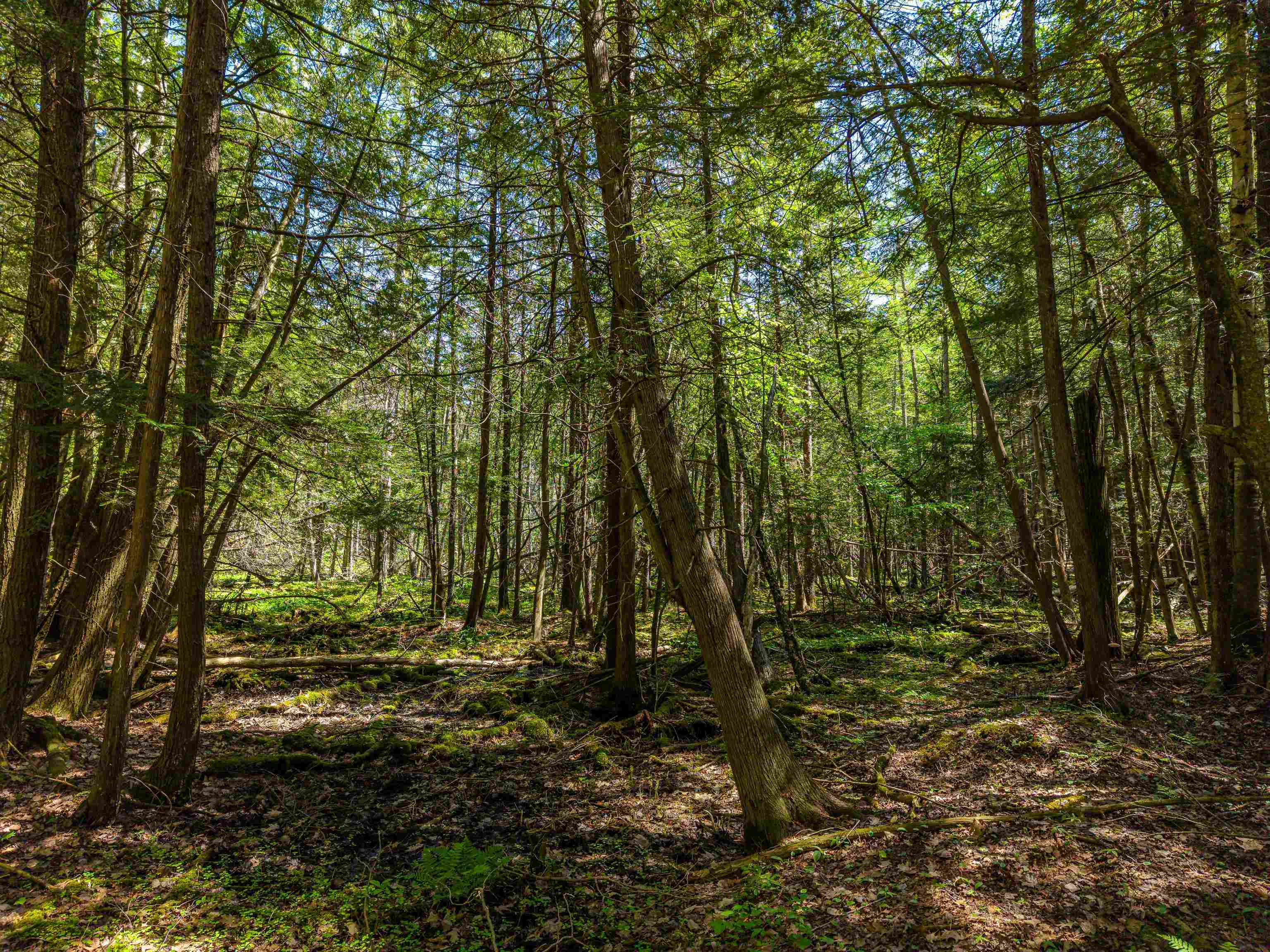 main property photo 37