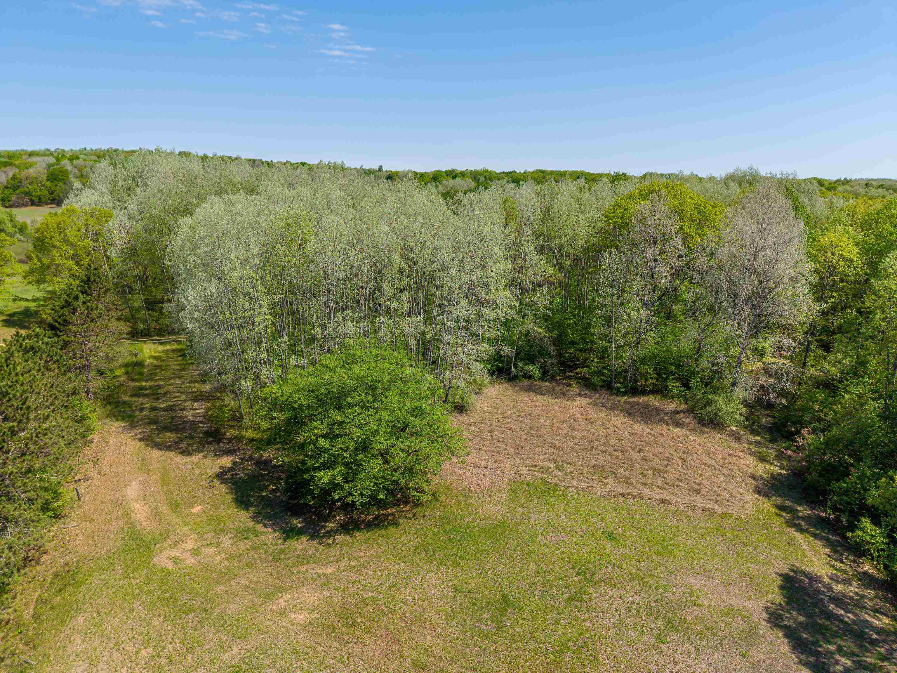 main property photo 46