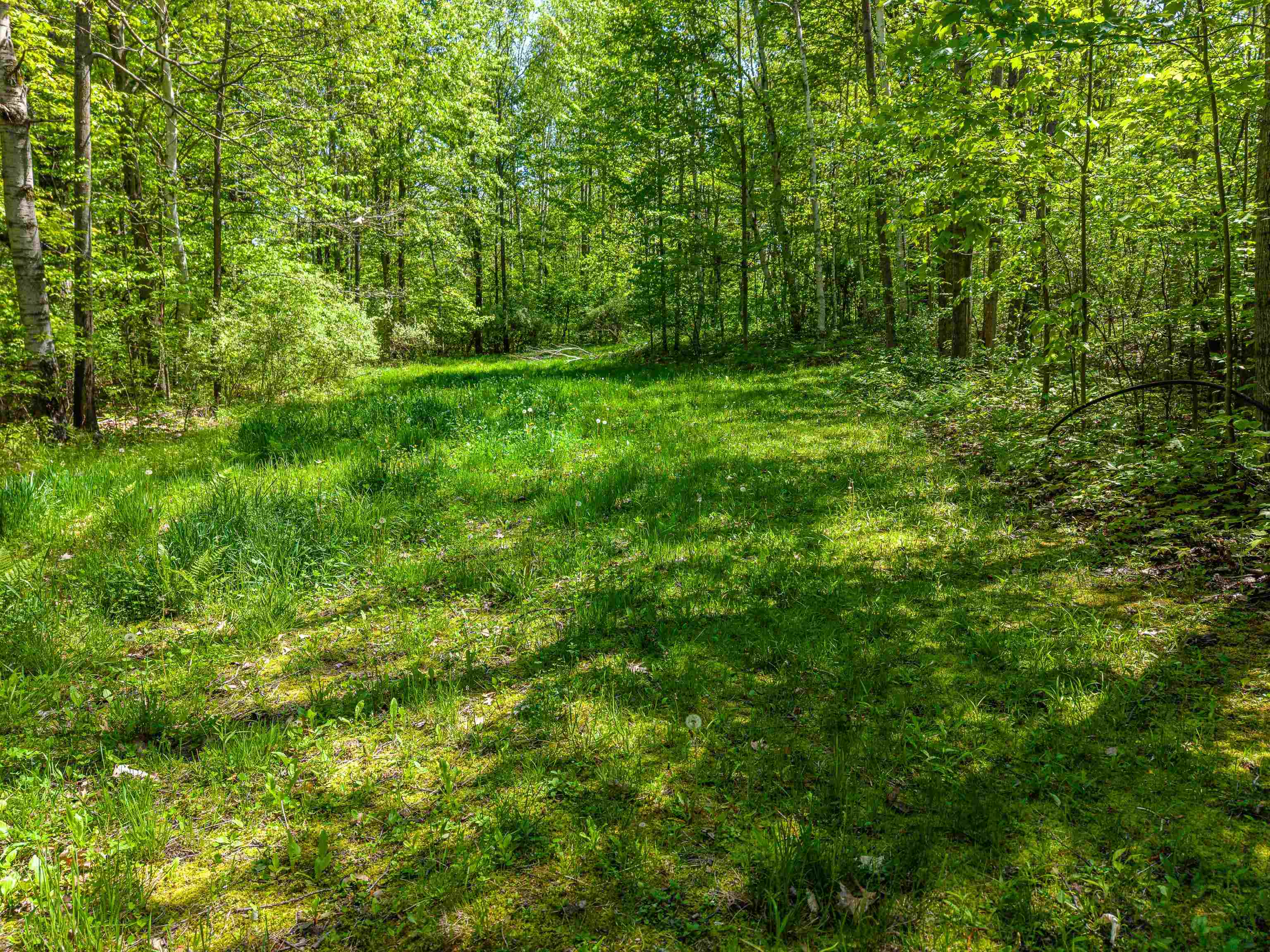 main property photo 54